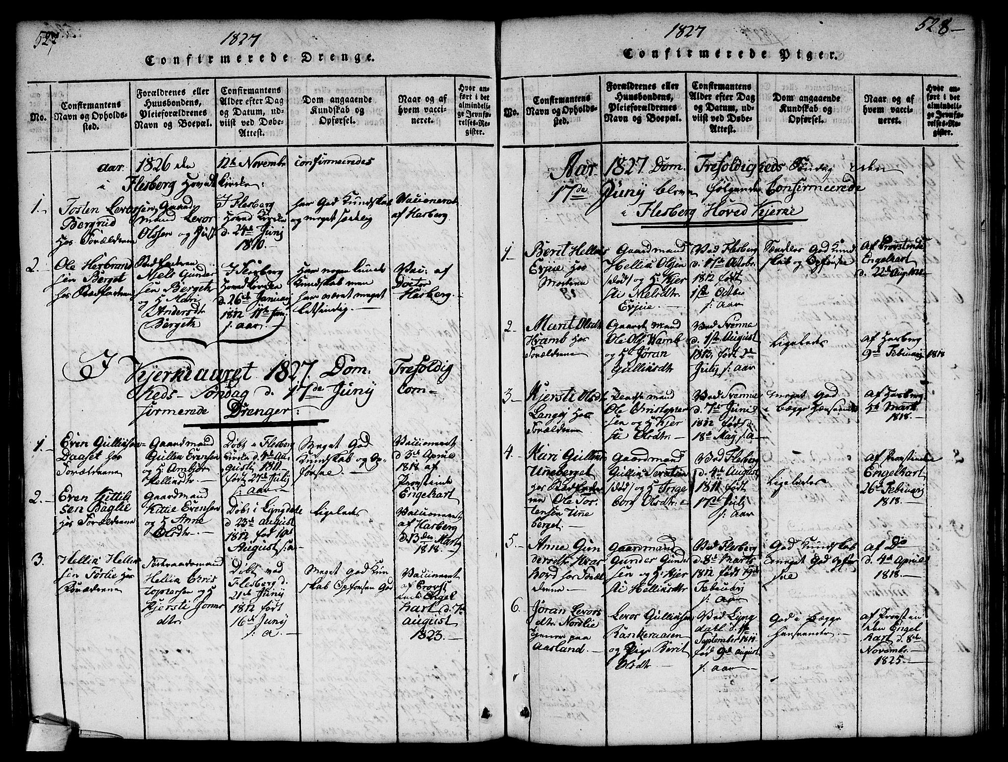 Flesberg kirkebøker, SAKO/A-18/G/Ga/L0001: Parish register (copy) no. I 1, 1816-1834, p. 527-528