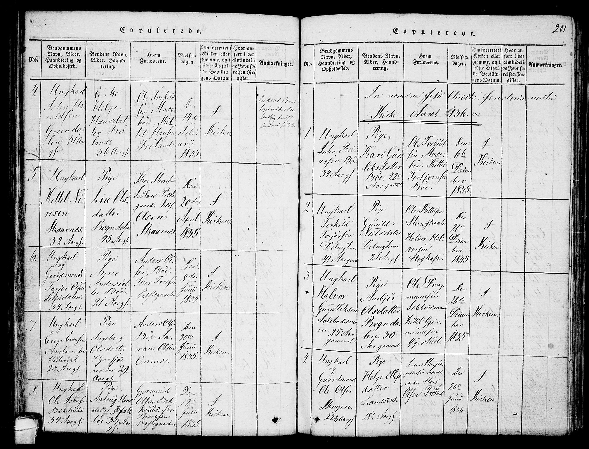 Hjartdal kirkebøker, SAKO/A-270/F/Fb/L0001: Parish register (official) no. II 1, 1815-1843, p. 201