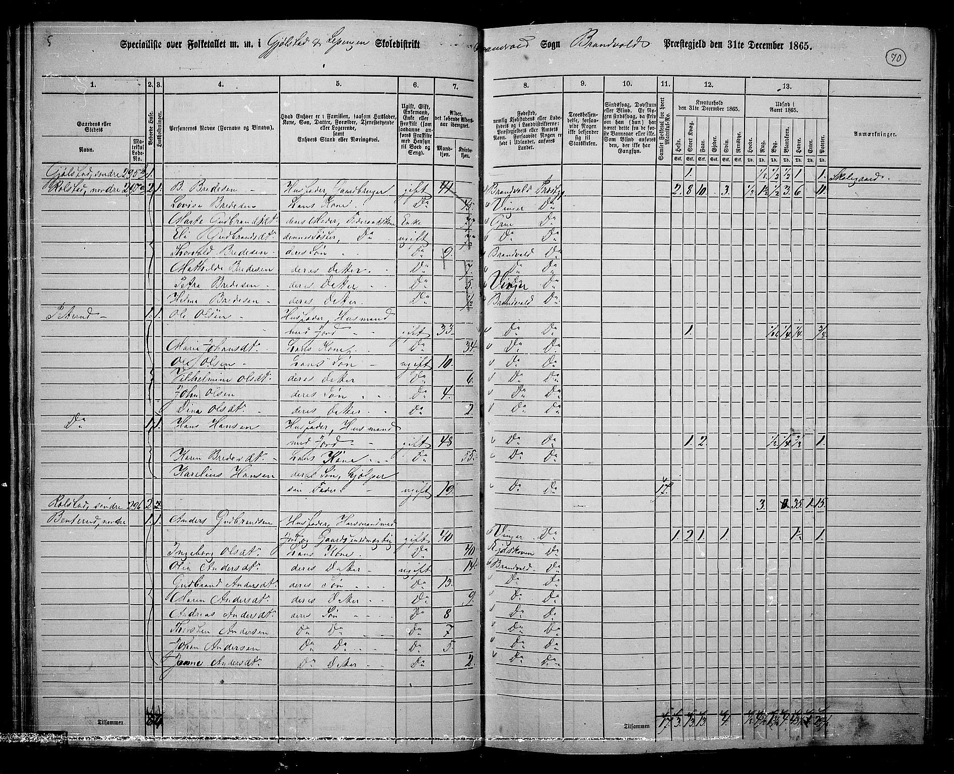 RA, 1865 census for Brandval, 1865, p. 61