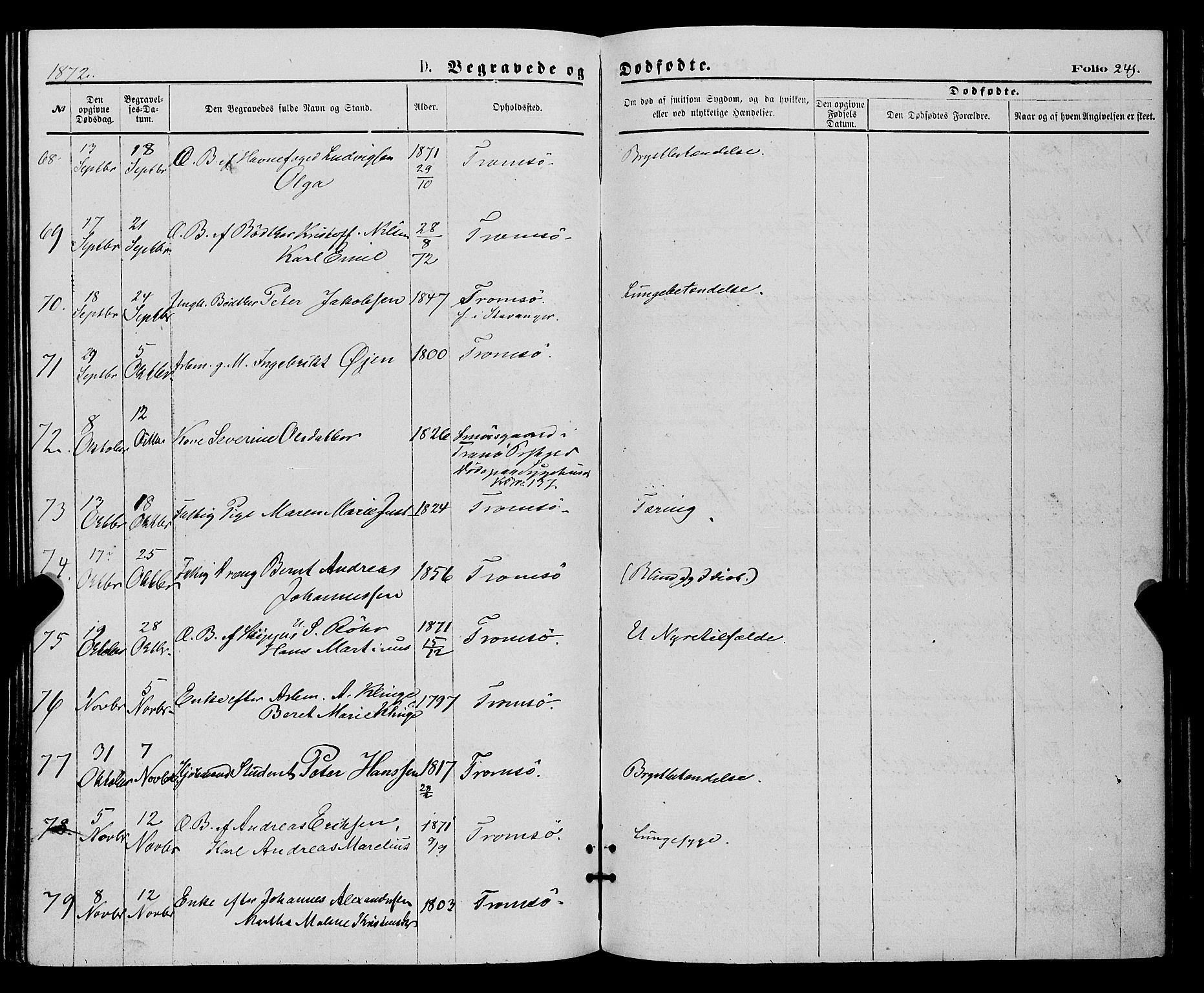 Tromsø sokneprestkontor/stiftsprosti/domprosti, AV/SATØ-S-1343/G/Ga/L0013kirke: Parish register (official) no. 13, 1872-1877, p. 241