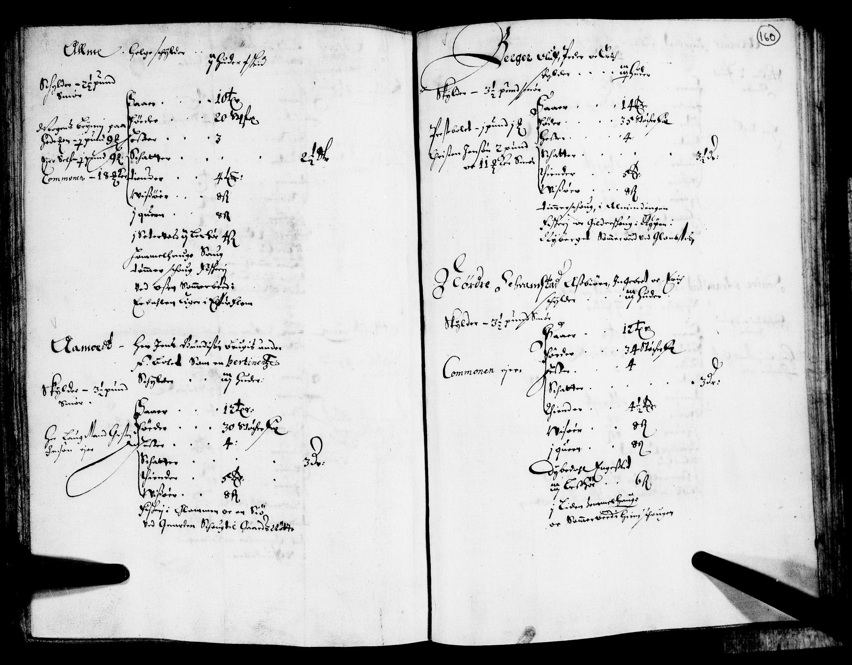 Rentekammeret inntil 1814, Realistisk ordnet avdeling, RA/EA-4070/N/Nb/Nba/L0011: Odal, Solør og Østerdalen fogderi, 1667, p. 159b-160a