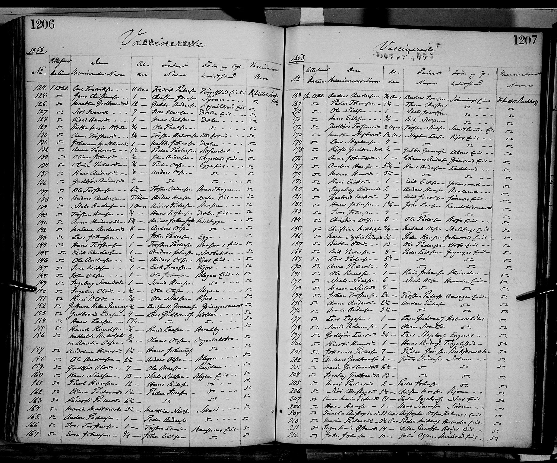 Gran prestekontor, SAH/PREST-112/H/Ha/Haa/L0012: Parish register (official) no. 12, 1856-1874, p. 1206-1207