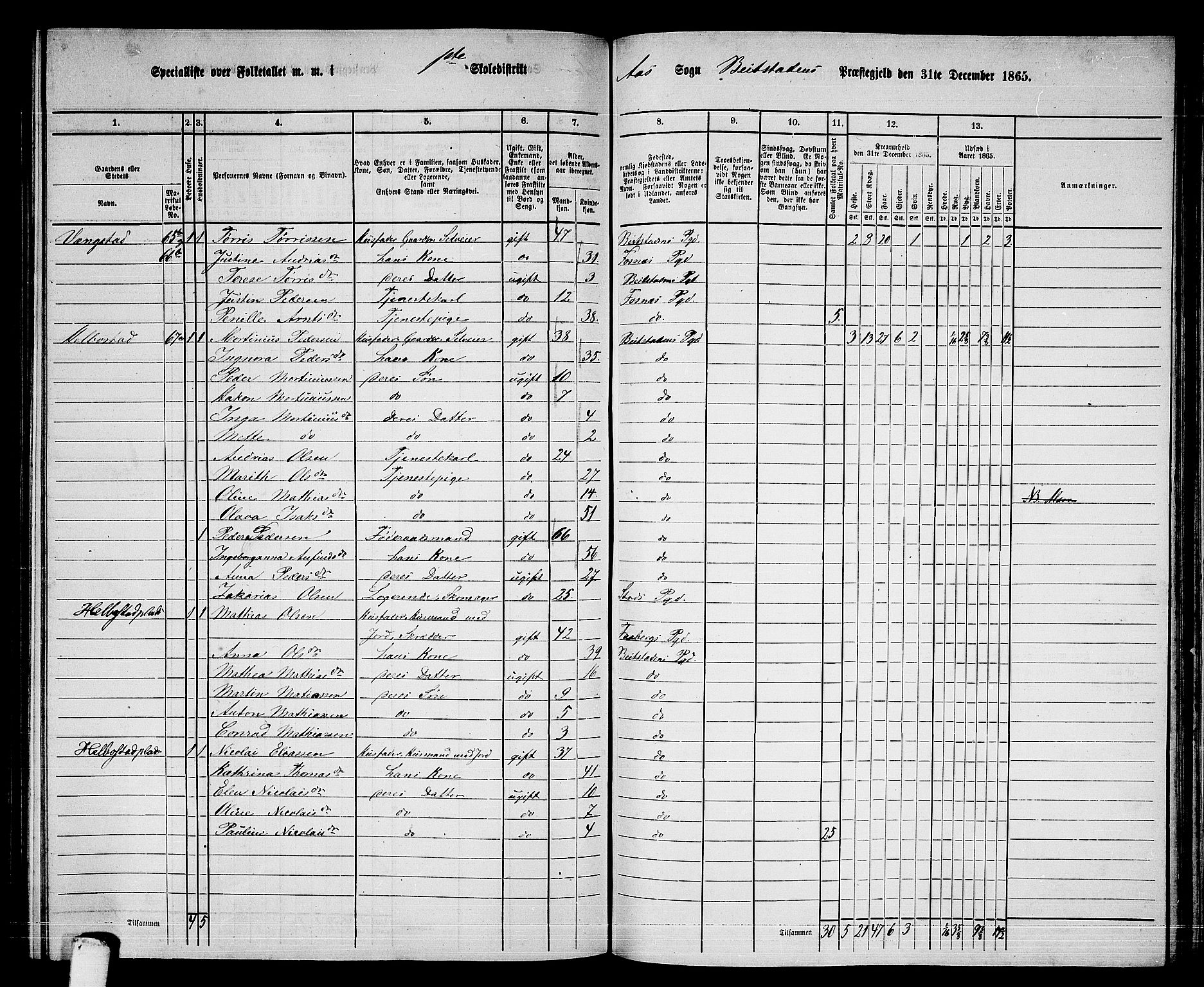 RA, 1865 census for Beitstad, 1865, p. 153