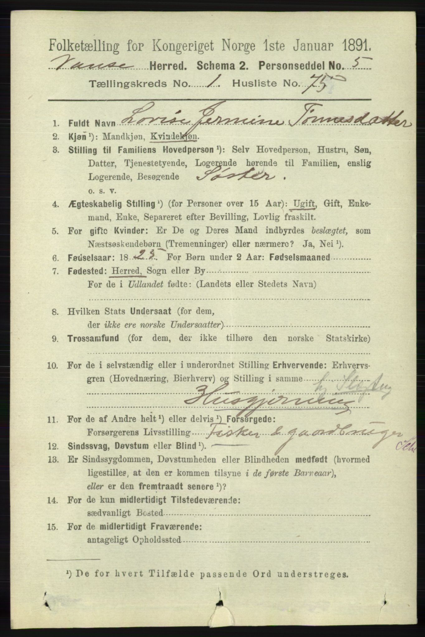 RA, 1891 census for 1041 Vanse, 1891, p. 462