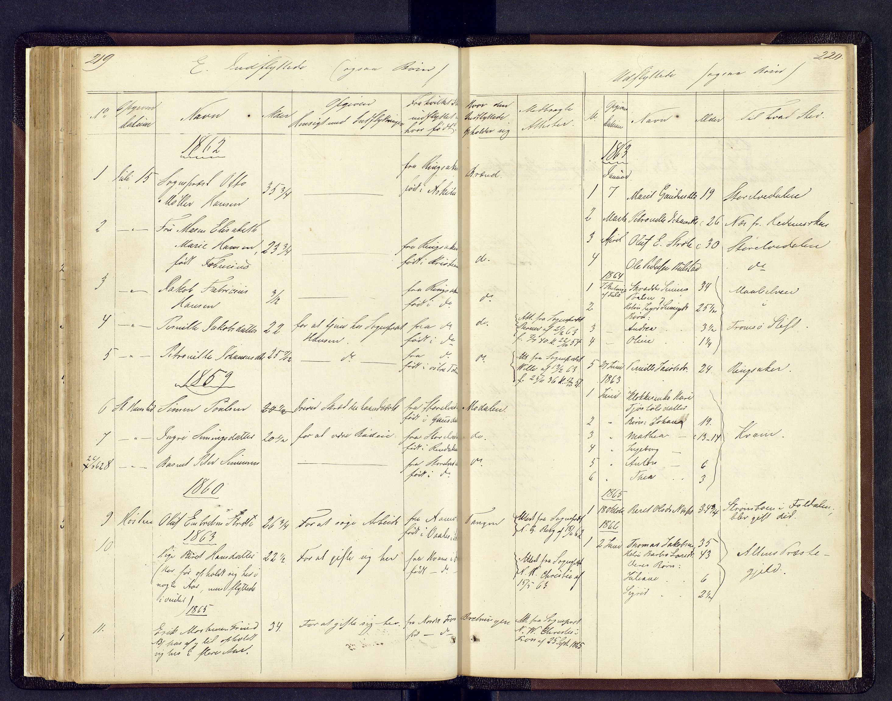 Sollia prestekontor, AV/SAH-PREST-050/H/Ha/Hab/L0001: Parish register (copy) no. 1, 1862-1879, p. 219-220