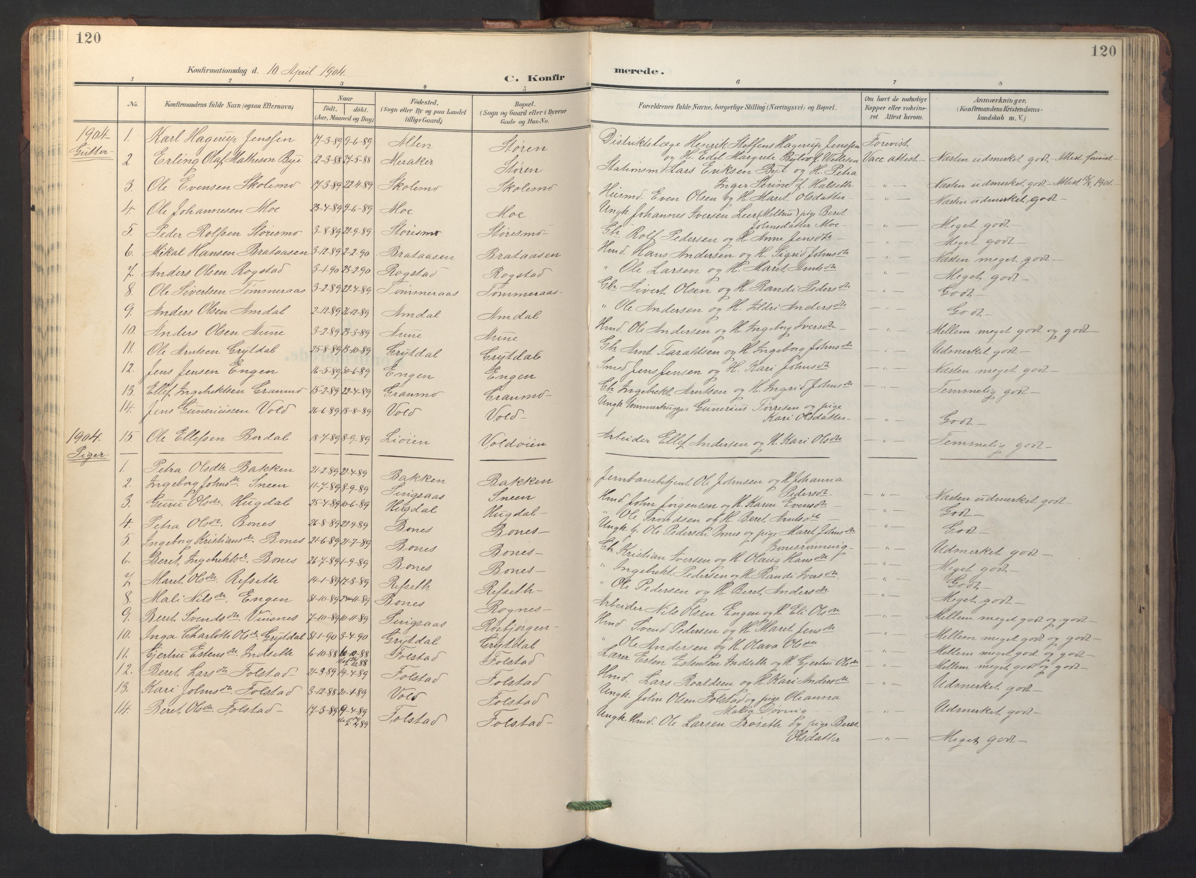 Ministerialprotokoller, klokkerbøker og fødselsregistre - Sør-Trøndelag, AV/SAT-A-1456/687/L1019: Parish register (copy) no. 687C03, 1904-1931, p. 120
