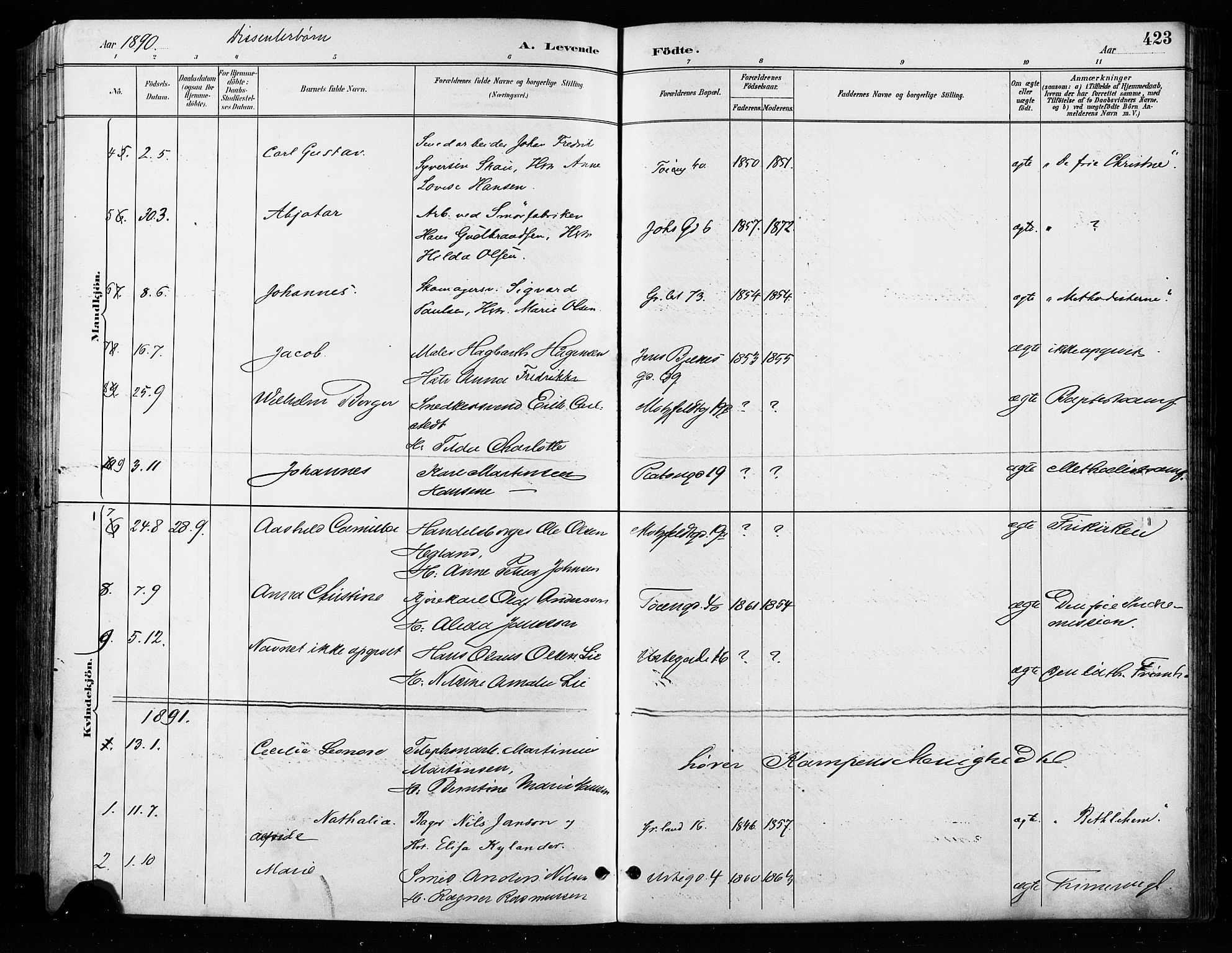 Grønland prestekontor Kirkebøker, SAO/A-10848/F/Fa/L0009: Parish register (official) no. 9, 1888-1893, p. 423