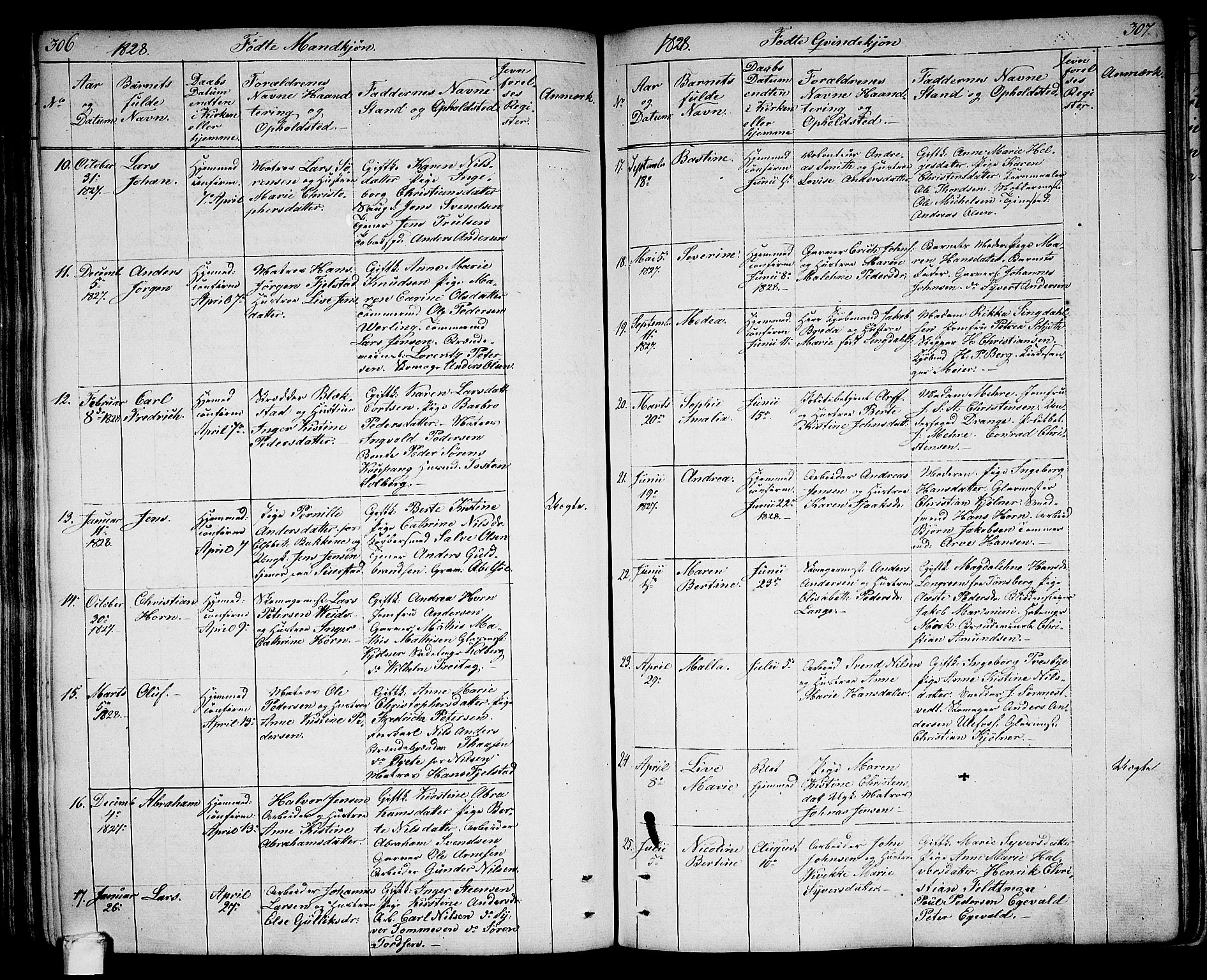 Larvik kirkebøker, SAKO/A-352/G/Ga/L0002: Parish register (copy) no. I 2, 1807-1830, p. 306-307