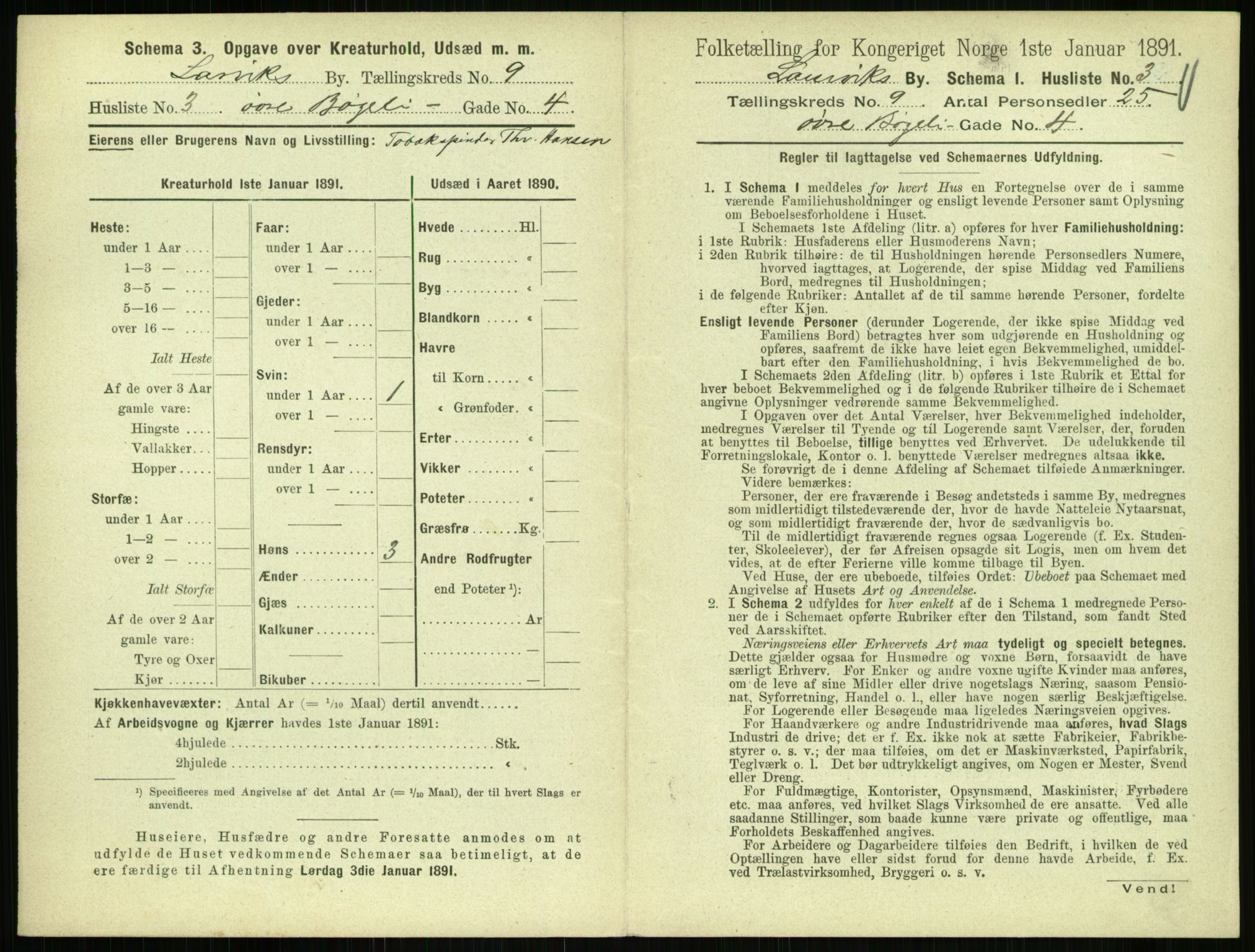 RA, 1891 census for 0707 Larvik, 1891, p. 1125