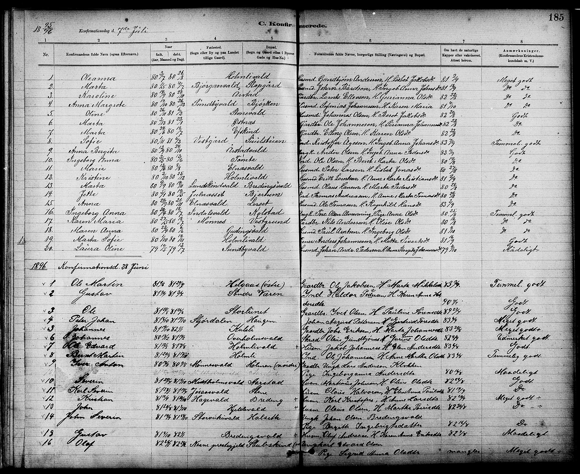 Ministerialprotokoller, klokkerbøker og fødselsregistre - Nord-Trøndelag, SAT/A-1458/724/L0267: Parish register (copy) no. 724C03, 1879-1898, p. 185