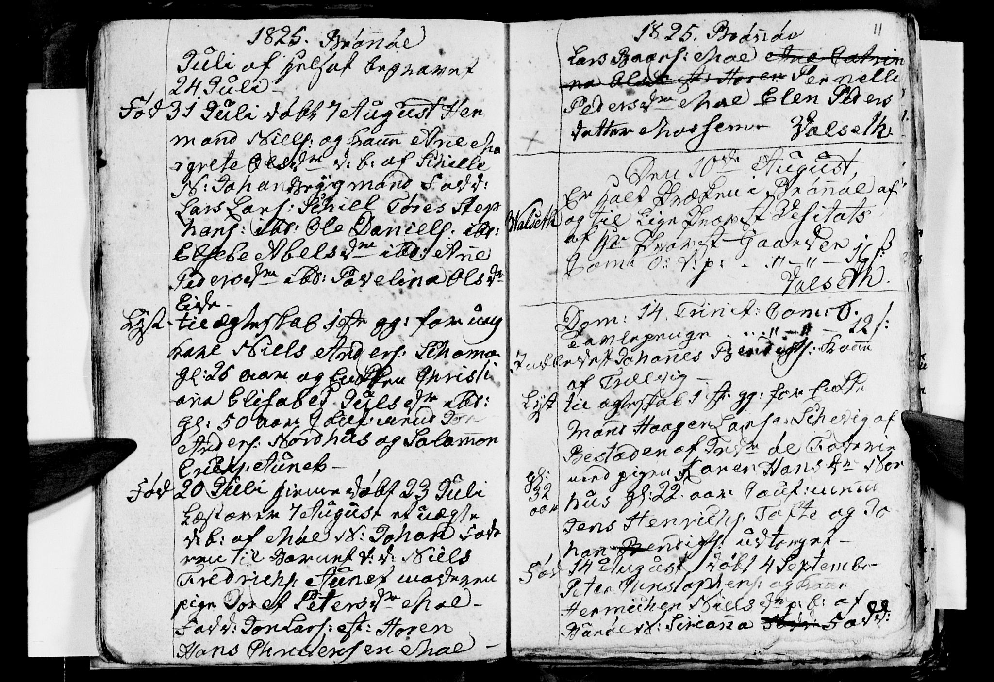Ministerialprotokoller, klokkerbøker og fødselsregistre - Nordland, AV/SAT-A-1459/813/L0210: Parish register (copy) no. 813C02, 1825-1836, p. 11