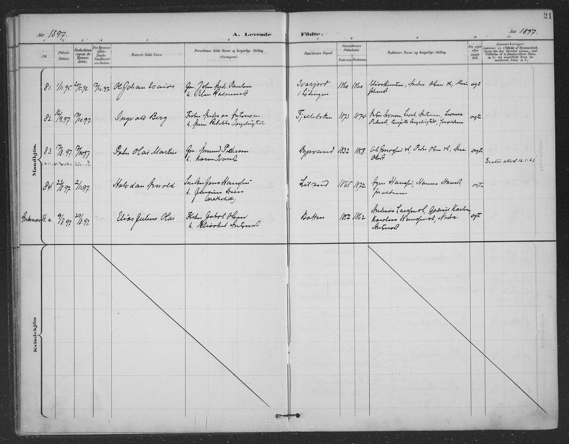 Ministerialprotokoller, klokkerbøker og fødselsregistre - Nordland, SAT/A-1459/863/L0899: Parish register (official) no. 863A11, 1897-1906, p. 21