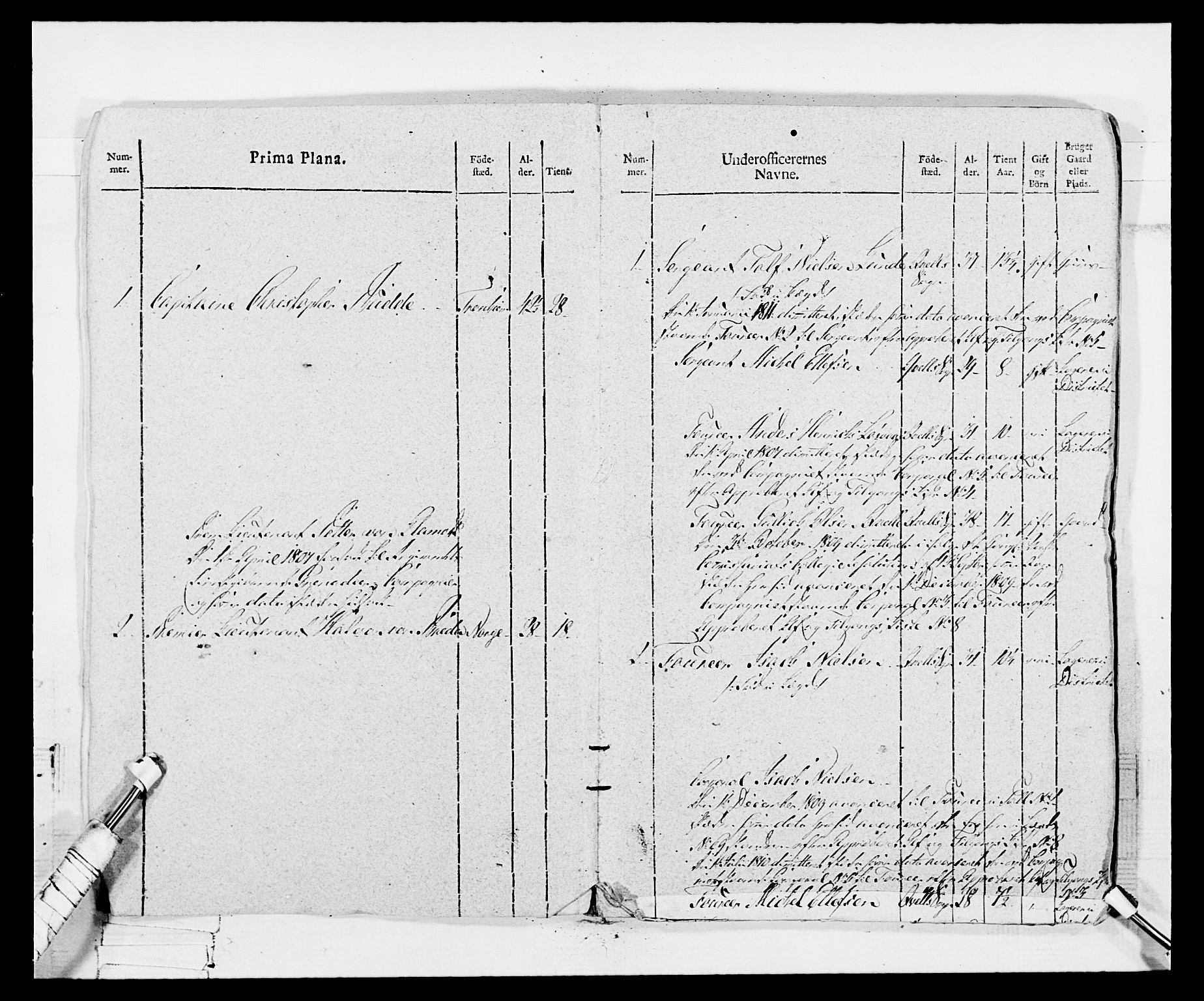 Generalitets- og kommissariatskollegiet, Det kongelige norske kommissariatskollegium, AV/RA-EA-5420/E/Eh/L0116: Telemarkske nasjonale infanteriregiment, 1810, p. 7