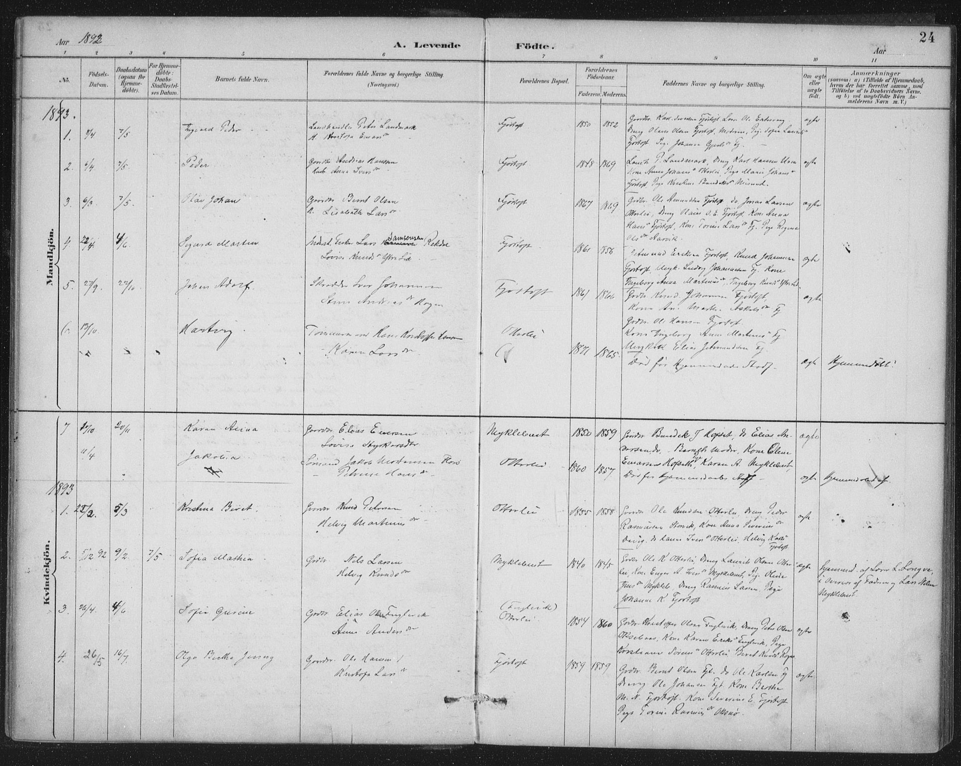 Ministerialprotokoller, klokkerbøker og fødselsregistre - Møre og Romsdal, SAT/A-1454/538/L0522: Parish register (official) no. 538A01, 1884-1913, p. 24