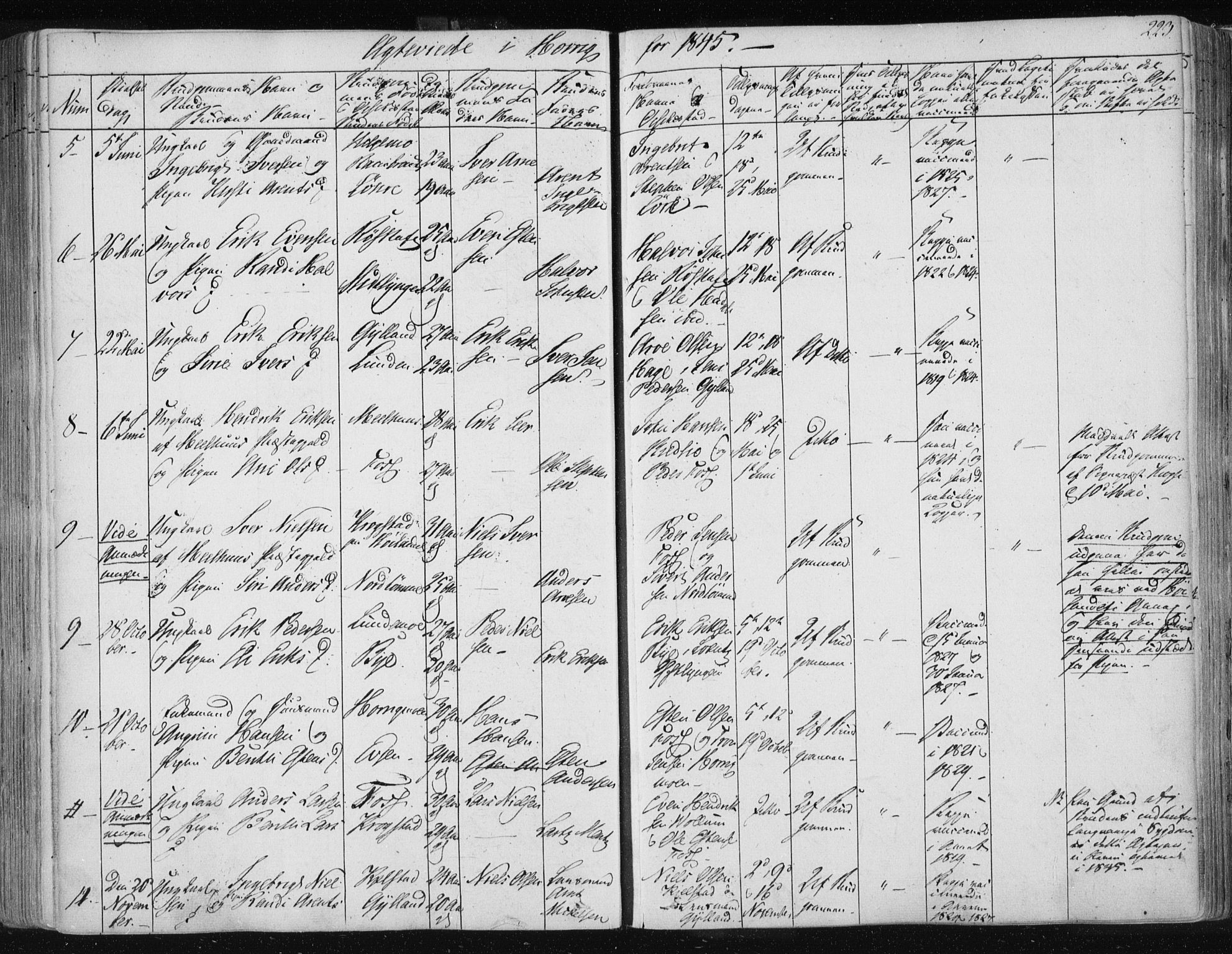 Ministerialprotokoller, klokkerbøker og fødselsregistre - Sør-Trøndelag, SAT/A-1456/687/L0998: Parish register (official) no. 687A05 /2, 1843-1849, p. 223