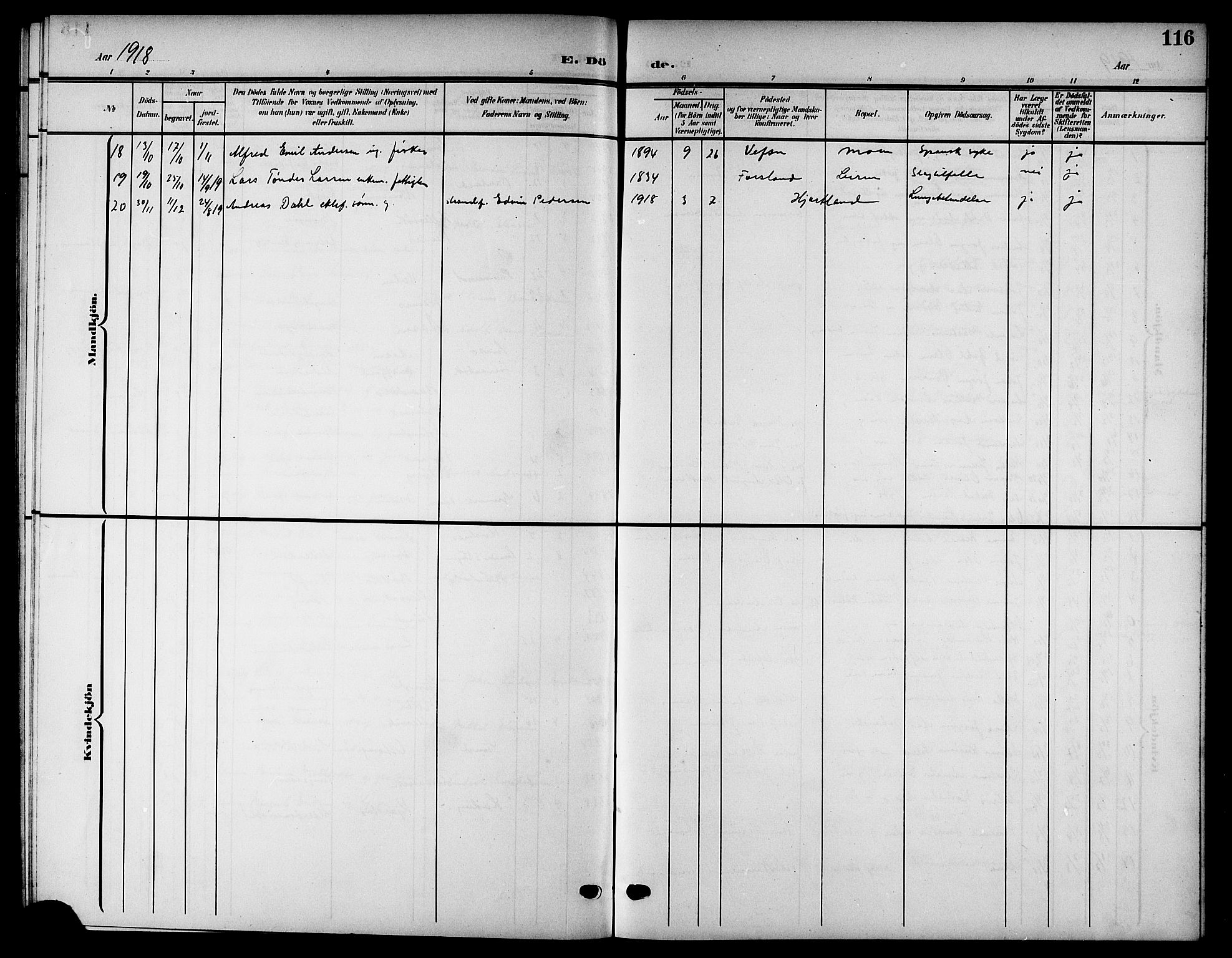 Ministerialprotokoller, klokkerbøker og fødselsregistre - Nordland, AV/SAT-A-1459/832/L0494: Parish register (copy) no. 832C01, 1906-1922, p. 116