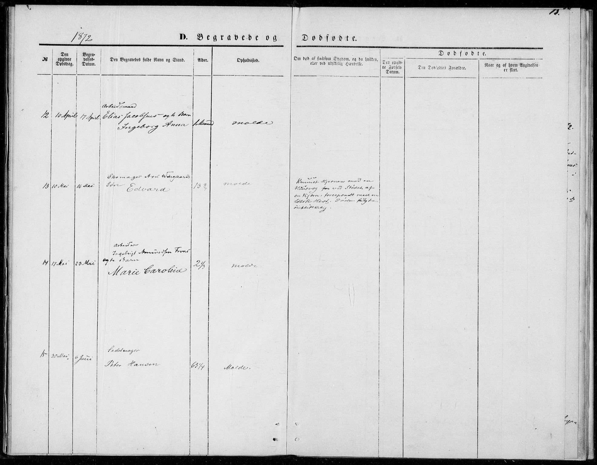 Ministerialprotokoller, klokkerbøker og fødselsregistre - Møre og Romsdal, AV/SAT-A-1454/558/L0690: Parish register (official) no. 558A04, 1864-1872, p. 13