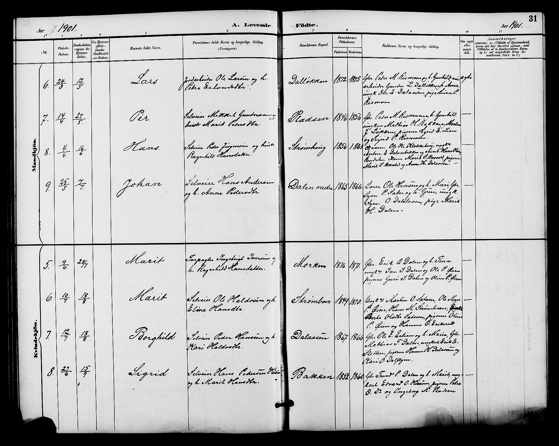 Alvdal prestekontor, AV/SAH-PREST-060/H/Ha/Hab/L0004: Parish register (copy) no. 4, 1894-1910, p. 31