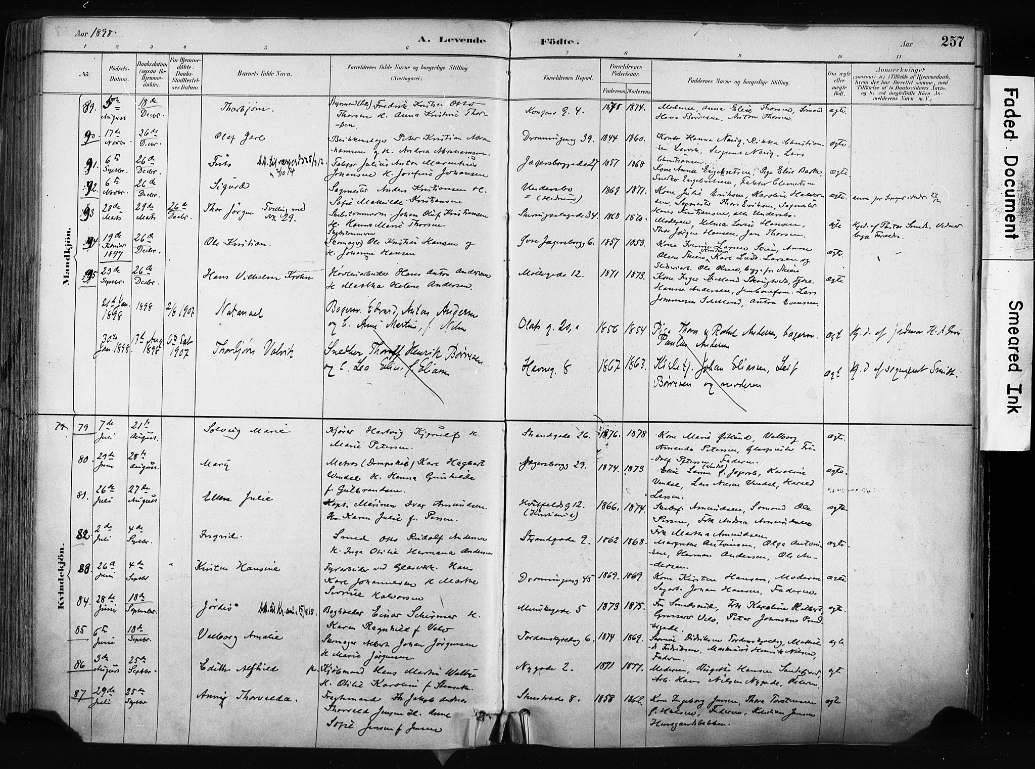 Larvik kirkebøker, SAKO/A-352/F/Fa/L0009: Parish register (official) no. I 9, 1884-1904, p. 257