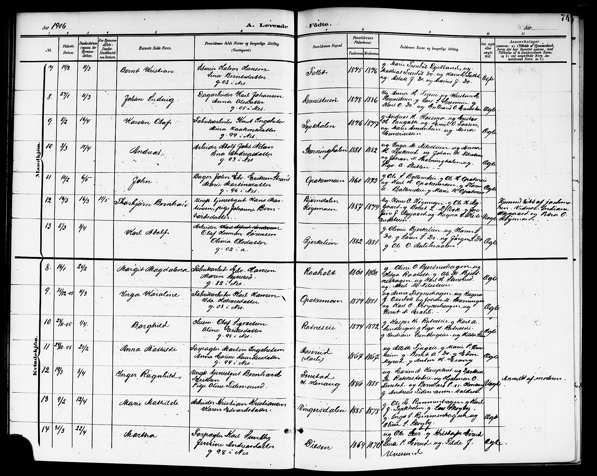 Nes prestekontor Kirkebøker, AV/SAO-A-10410/G/Ga/L0002: Parish register (copy) no. I 2, 1901-1912, p. 74