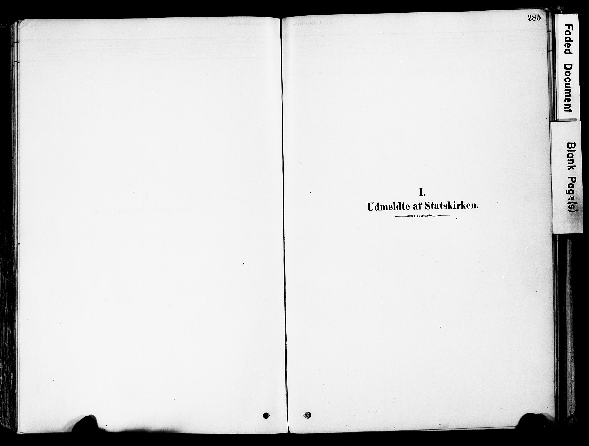 Øyer prestekontor, AV/SAH-PREST-084/H/Ha/Haa/L0008: Parish register (official) no. 8, 1878-1897, p. 285