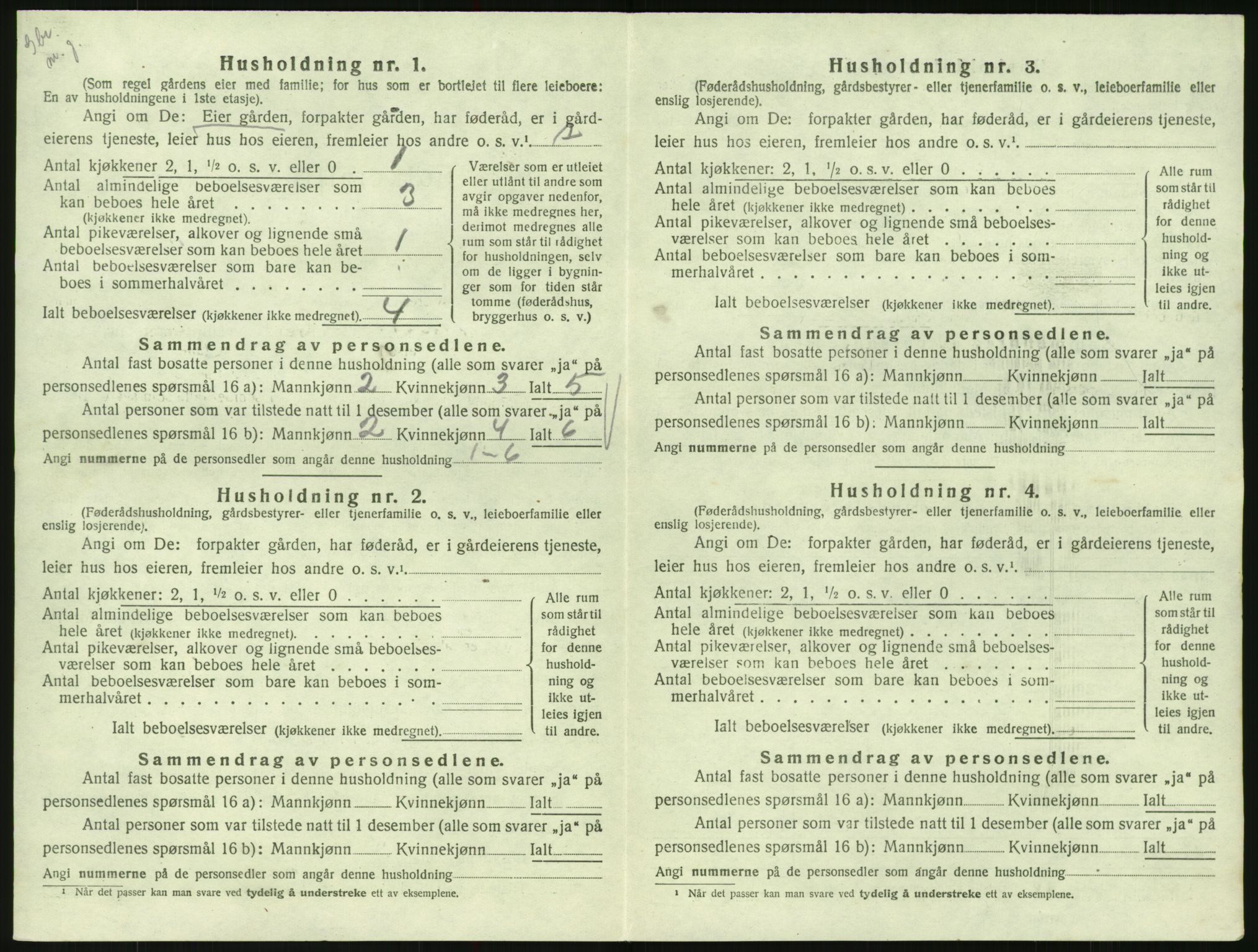 SAK, 1920 census for Hornnes, 1920, p. 532