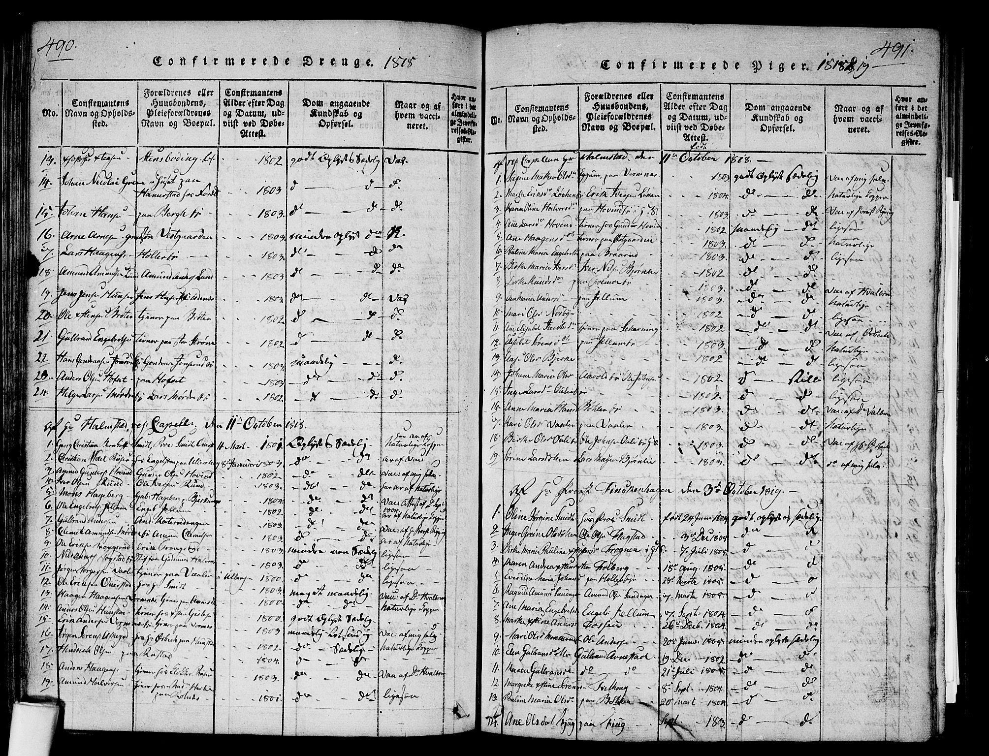 Nes prestekontor Kirkebøker, SAO/A-10410/G/Ga/L0001: Parish register (copy) no. I 1, 1815-1835, p. 490-491