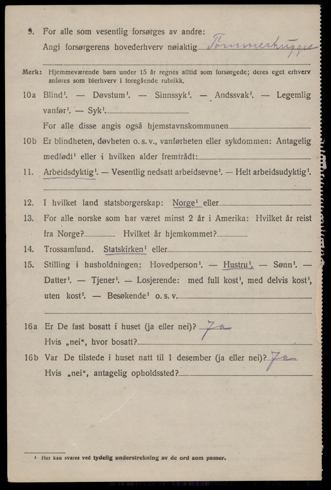 SAKO, 1920 census for Nissedal, 1920, p. 1294