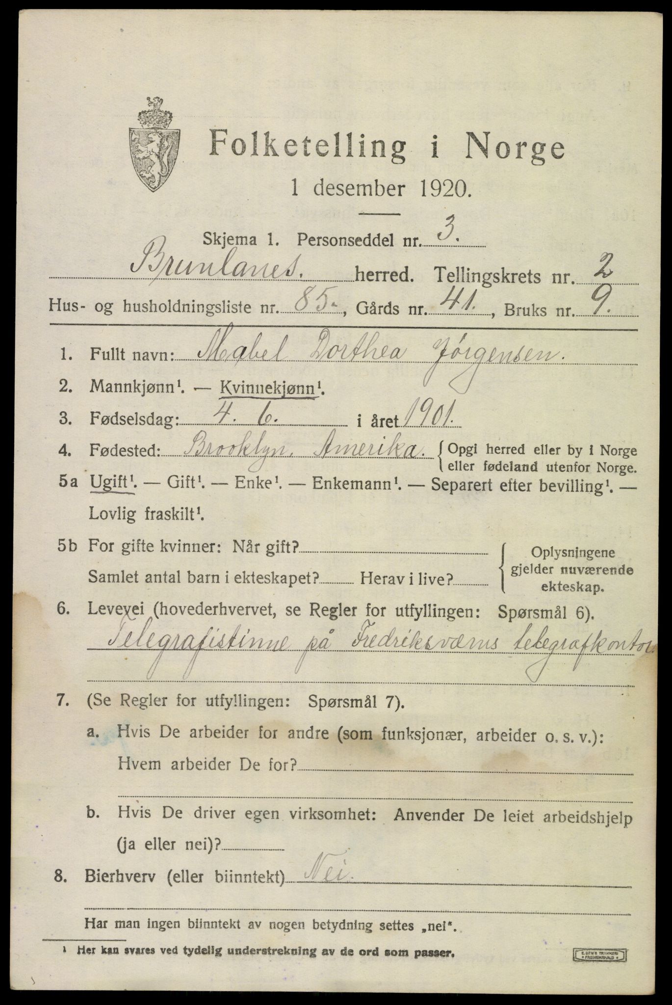 SAKO, 1920 census for Brunlanes, 1920, p. 4463