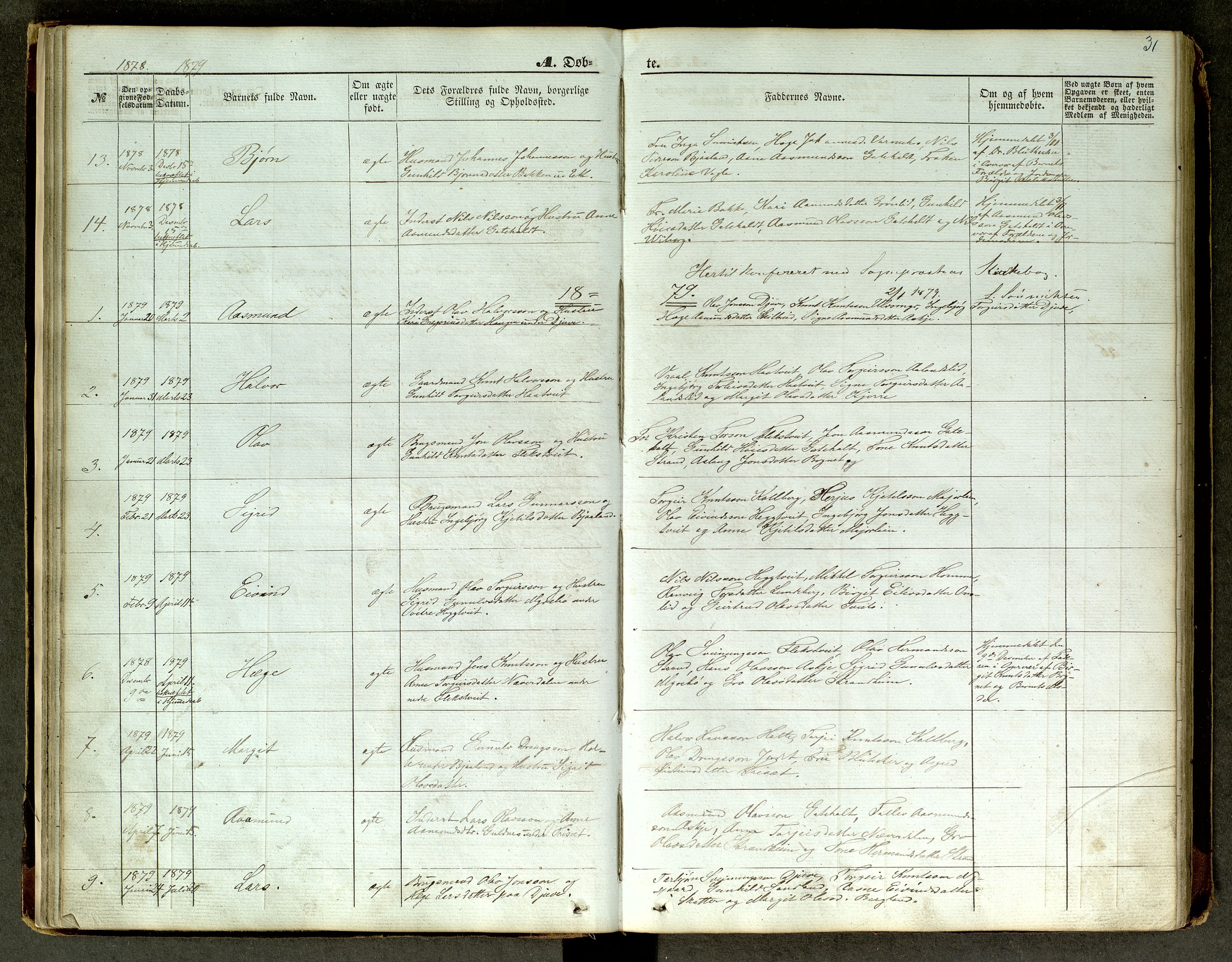 Lårdal kirkebøker, SAKO/A-284/G/Ga/L0002: Parish register (copy) no. I 2, 1861-1890, p. 31