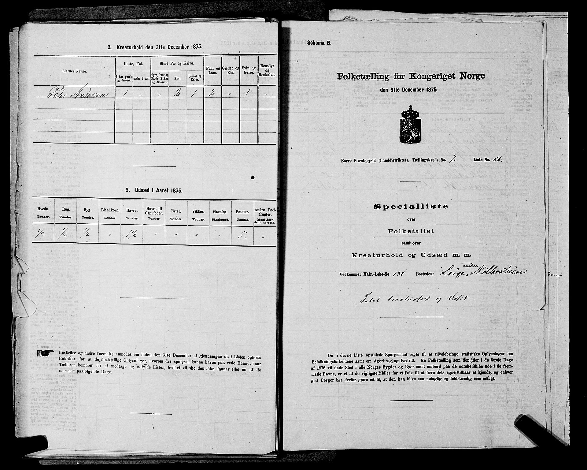 SAKO, 1875 census for 0717L Borre/Borre og Nykirke, 1875, p. 500