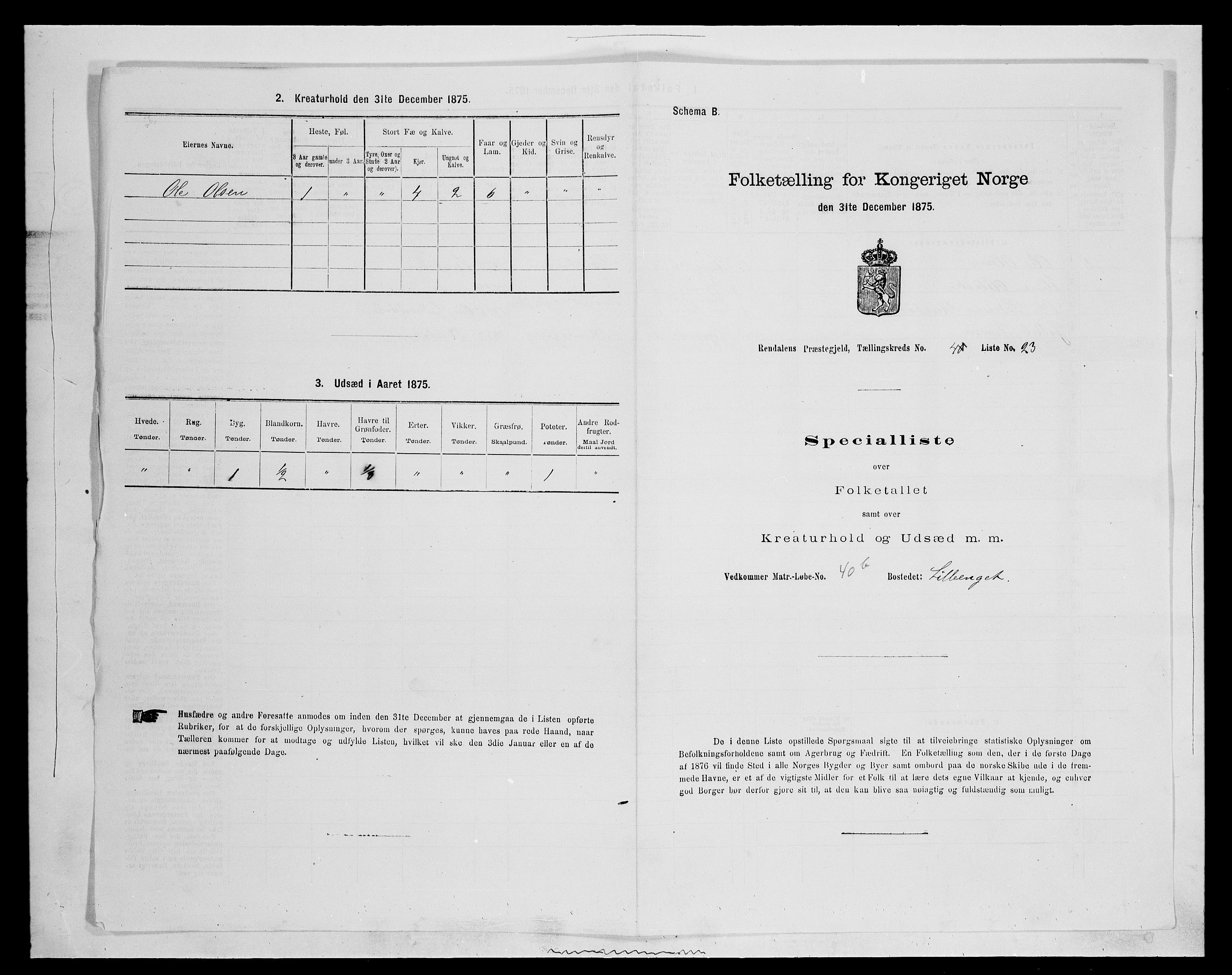 SAH, 1875 census for 0432P Rendalen, 1875, p. 441