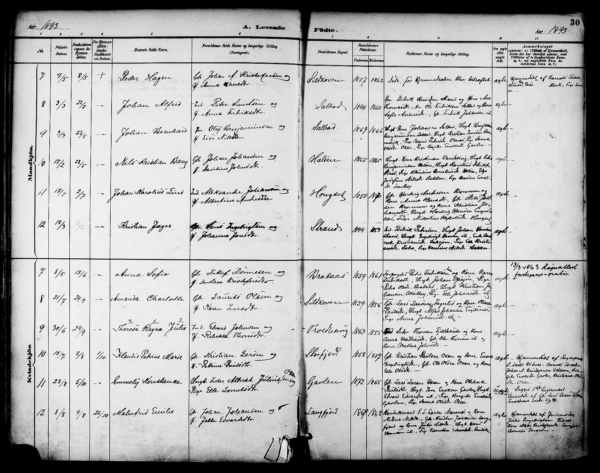 Ministerialprotokoller, klokkerbøker og fødselsregistre - Nordland, AV/SAT-A-1459/814/L0226: Parish register (official) no. 814A07, 1886-1898, p. 30