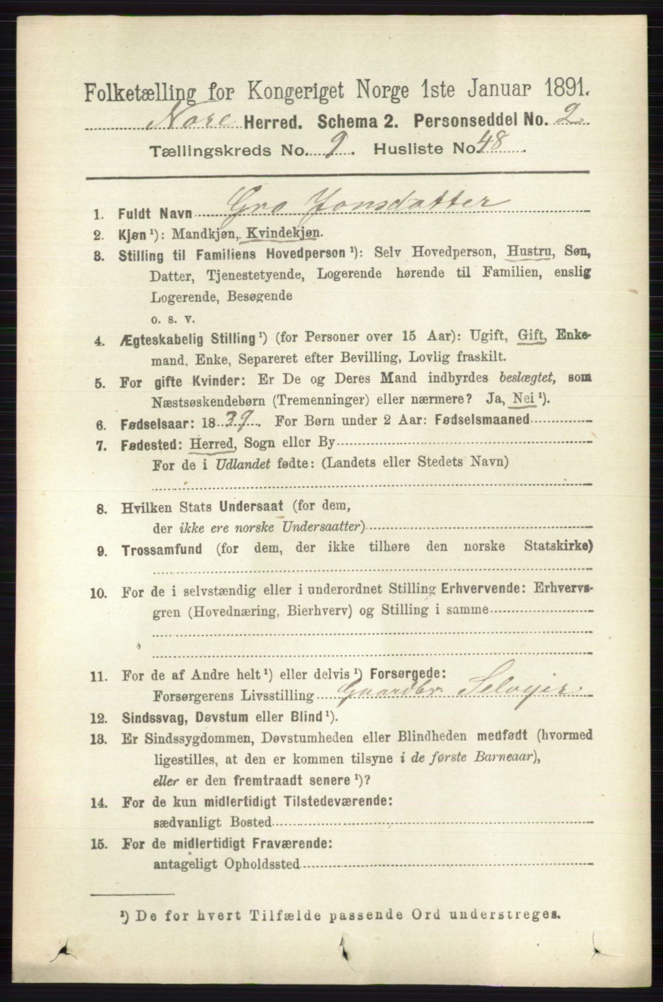 RA, 1891 census for 0633 Nore, 1891, p. 3490