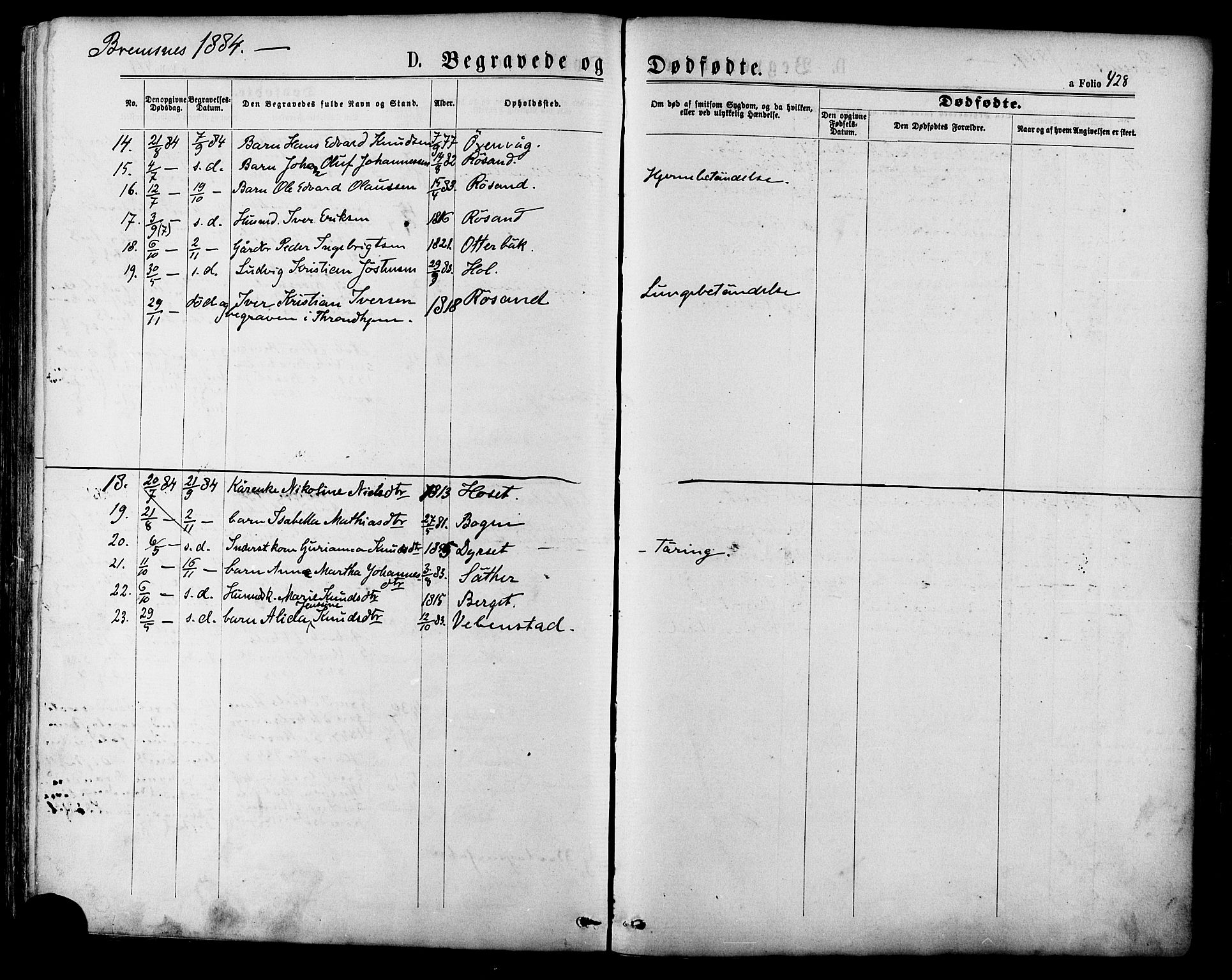 Ministerialprotokoller, klokkerbøker og fødselsregistre - Møre og Romsdal, SAT/A-1454/568/L0806: Parish register (official) no. 568A12 /3, 1878-1884, p. 428