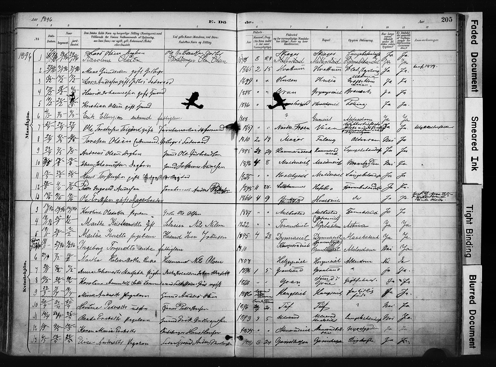 Gran prestekontor, AV/SAH-PREST-112/H/Ha/Haa/L0017: Parish register (official) no. 17, 1889-1897, p. 205