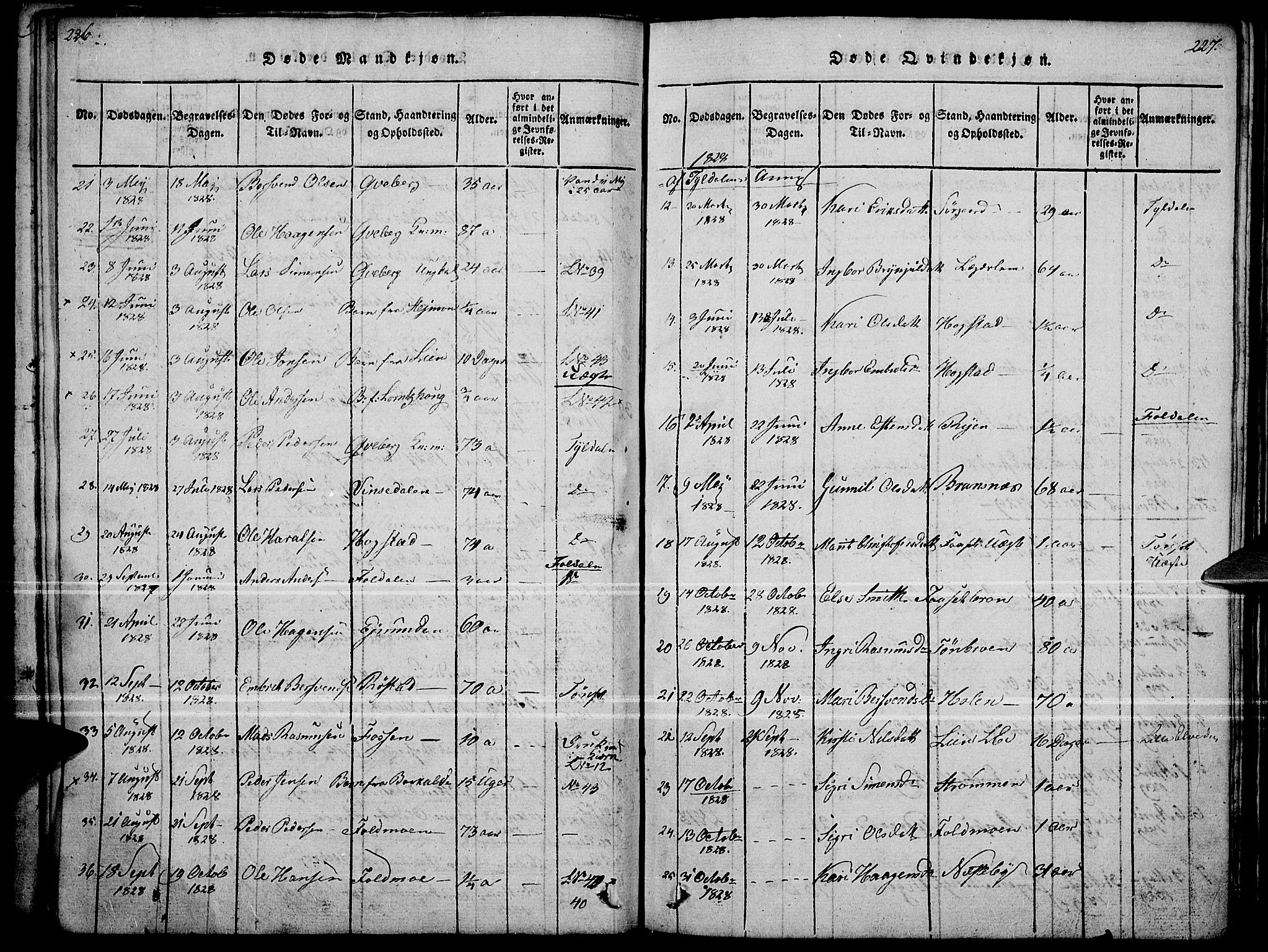 Tynset prestekontor, SAH/PREST-058/H/Ha/Haa/L0018: Parish register (official) no. 18, 1815-1829, p. 226-227