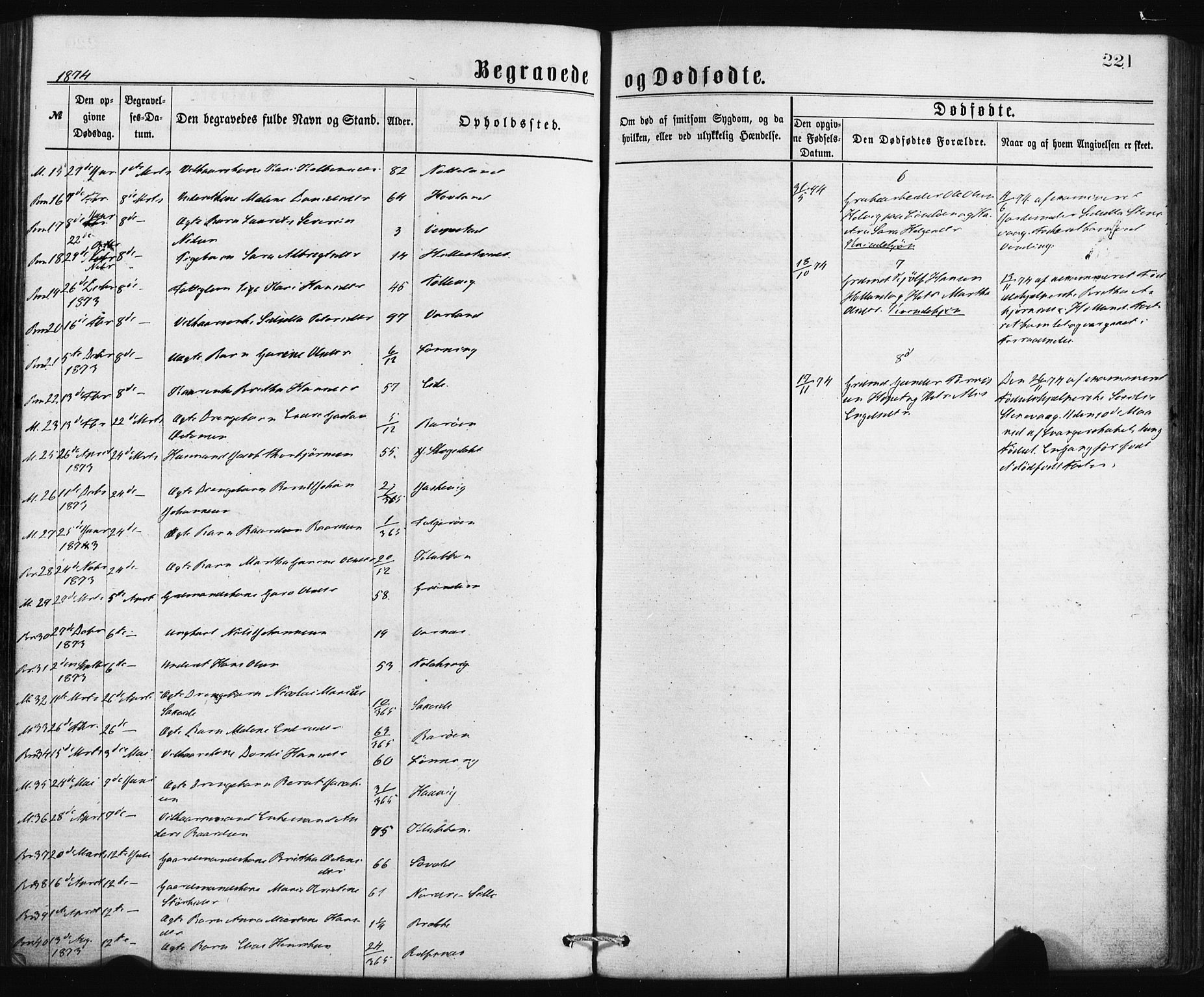 Finnås sokneprestembete, AV/SAB-A-99925/H/Ha/Haa/Haaa/L0009: Parish register (official) no. A 9, 1873-1881, p. 221