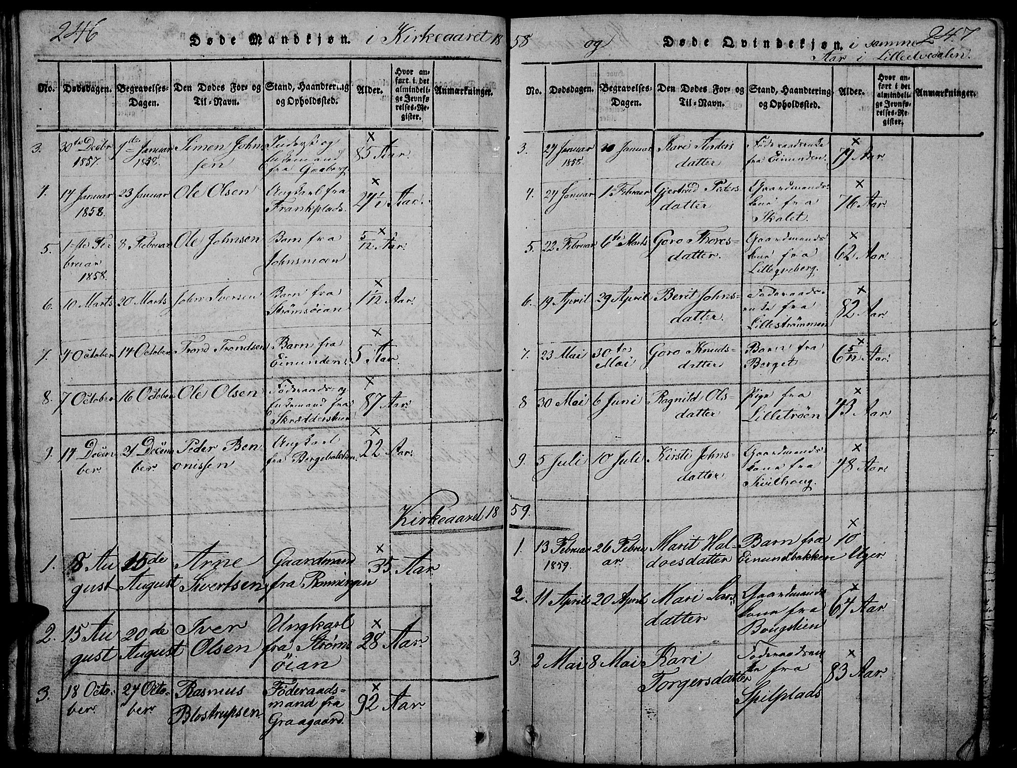 Tynset prestekontor, SAH/PREST-058/H/Ha/Hab/L0002: Parish register (copy) no. 2, 1814-1862, p. 246-247