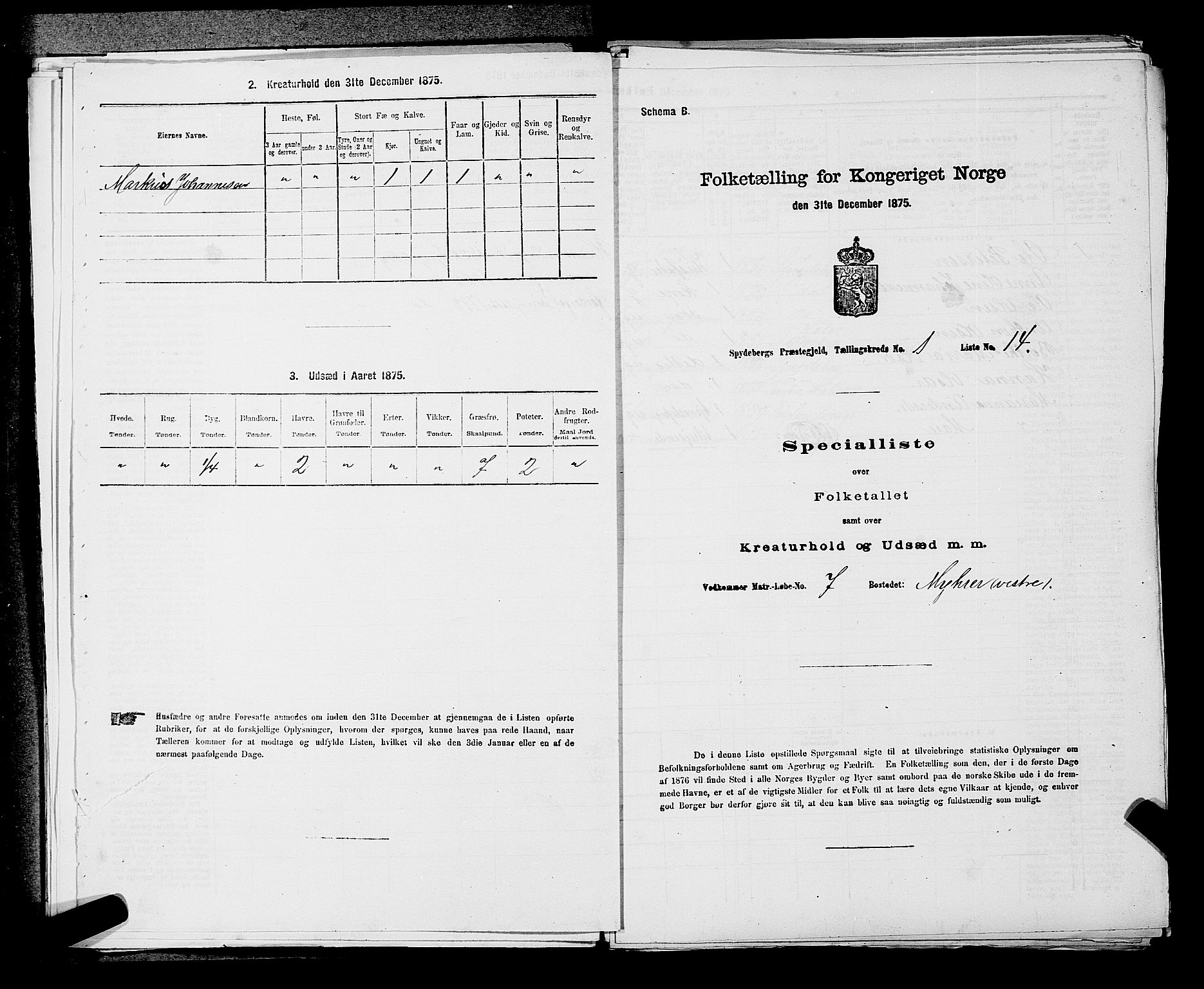 RA, 1875 census for 0123P Spydeberg, 1875, p. 71