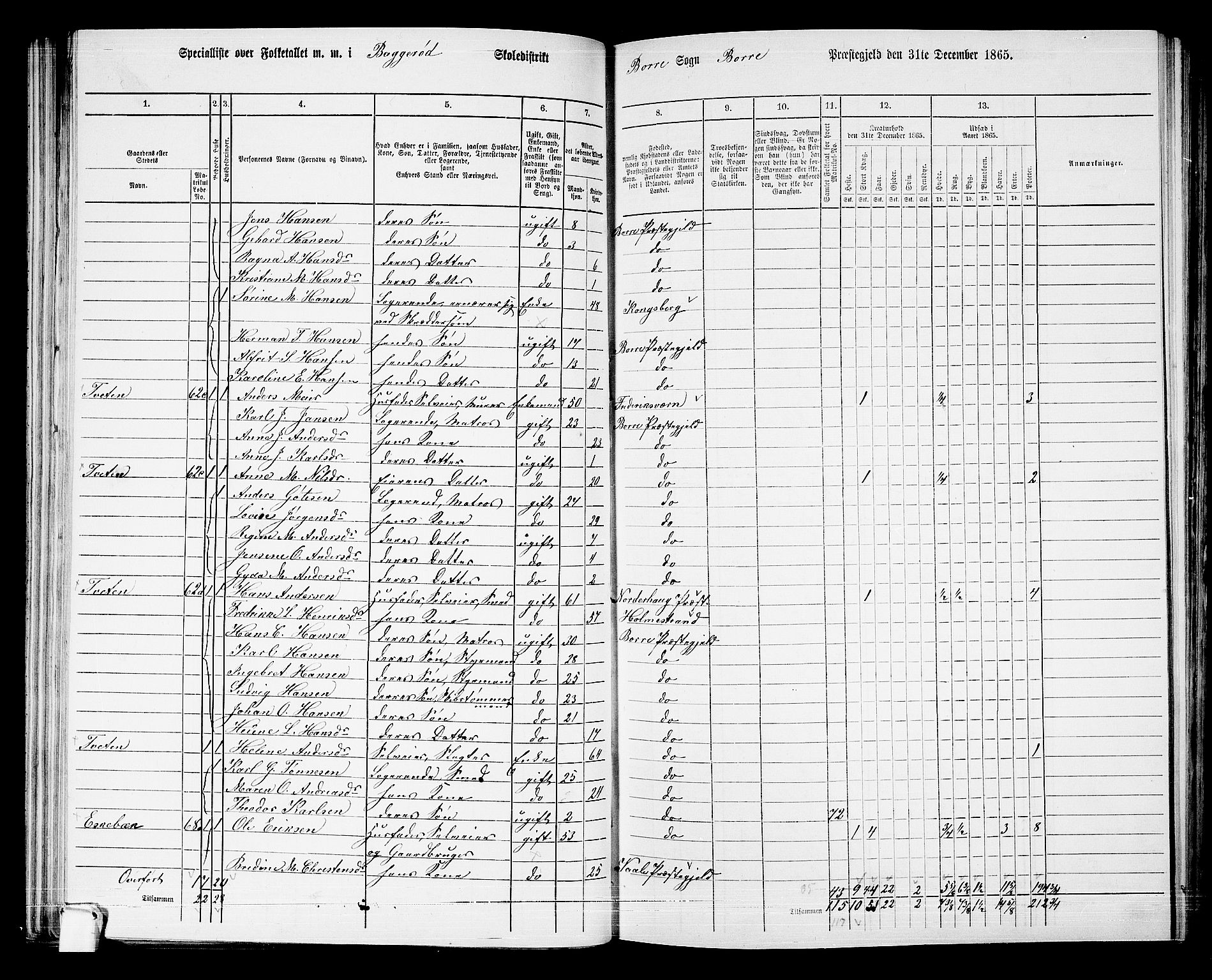 RA, 1865 census for Borre, 1865, p. 89