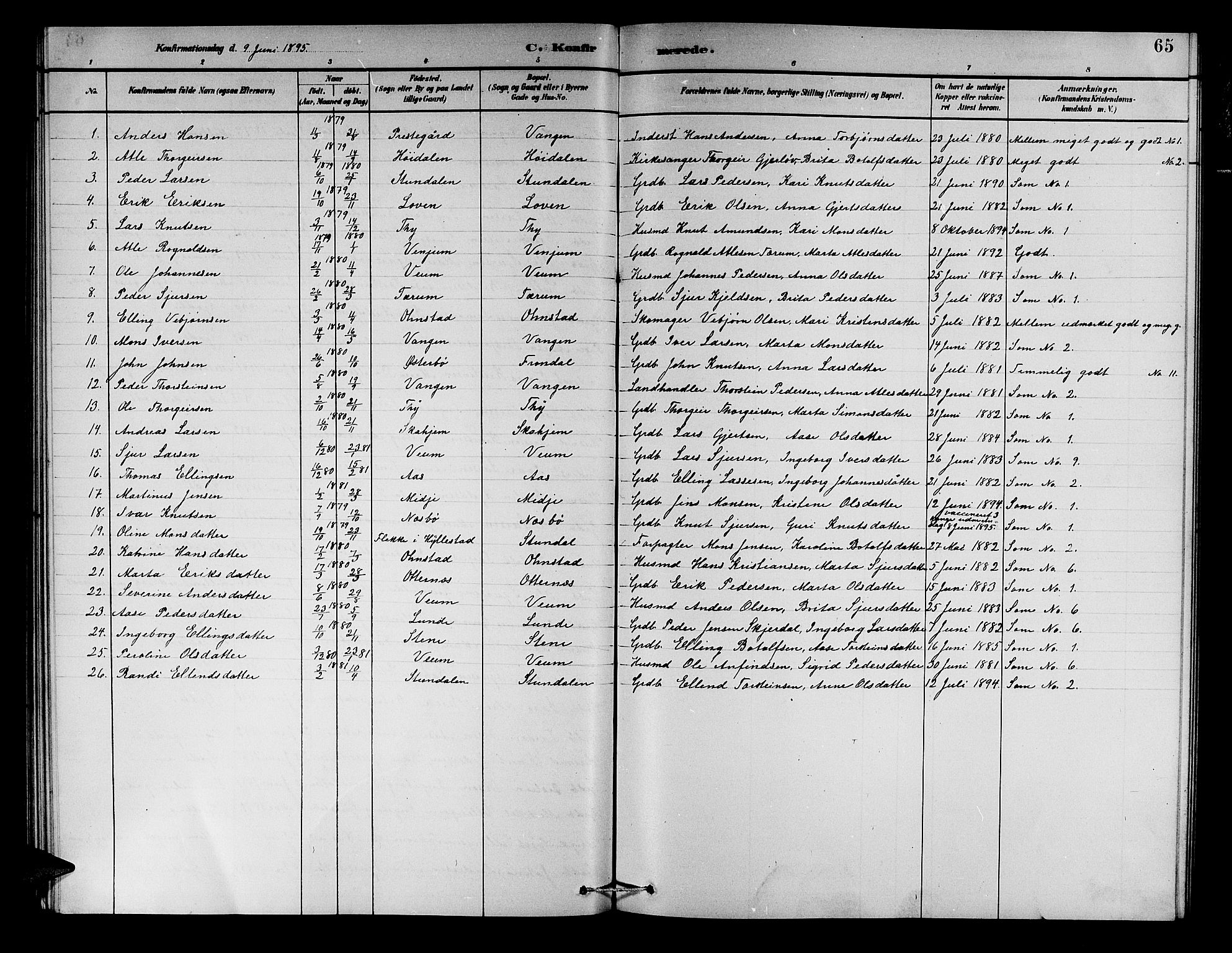 Aurland sokneprestembete, SAB/A-99937/H/Hb/Hba/L0002: Parish register (copy) no. A 2, 1880-1895, p. 65