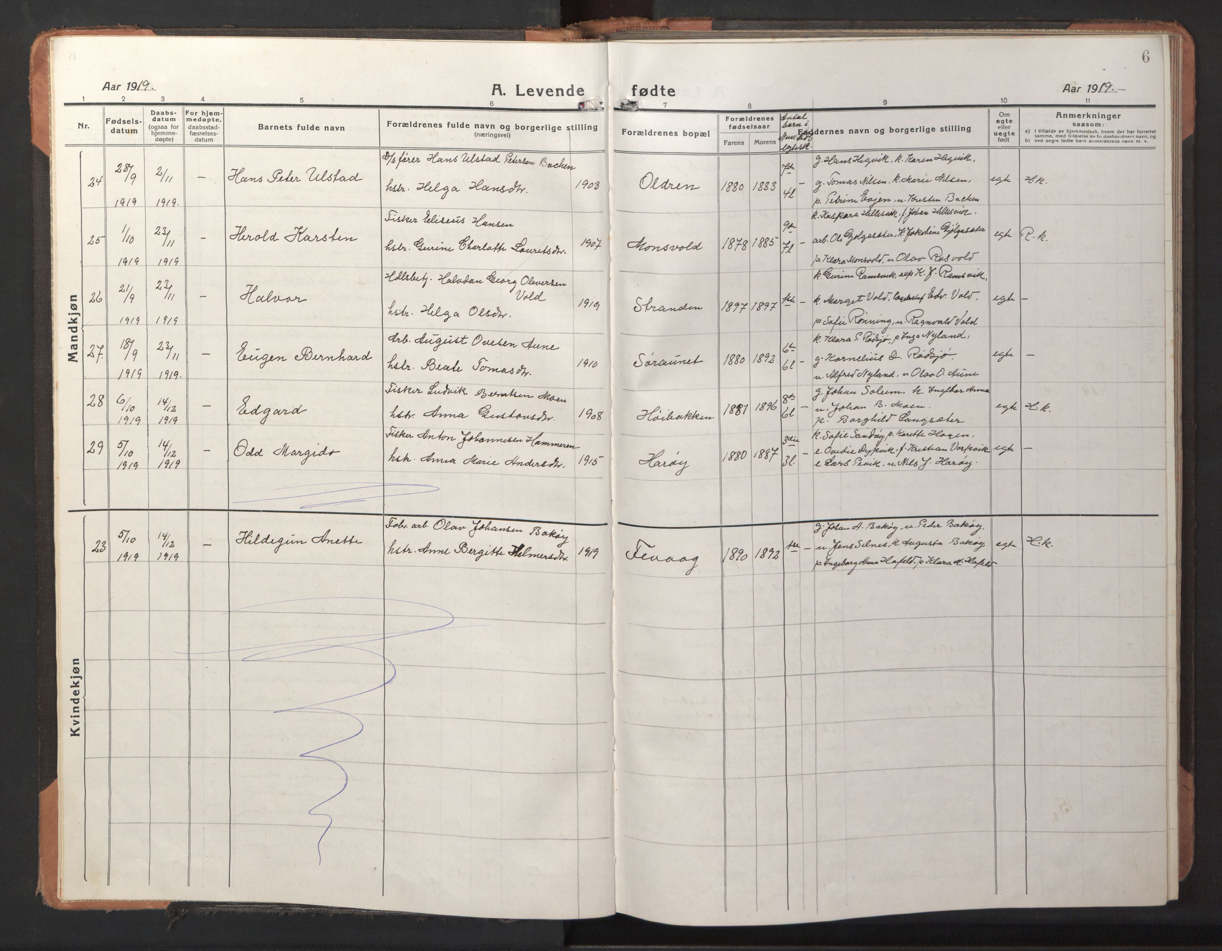 Ministerialprotokoller, klokkerbøker og fødselsregistre - Sør-Trøndelag, SAT/A-1456/653/L0658: Parish register (copy) no. 653C02, 1919-1947, p. 6