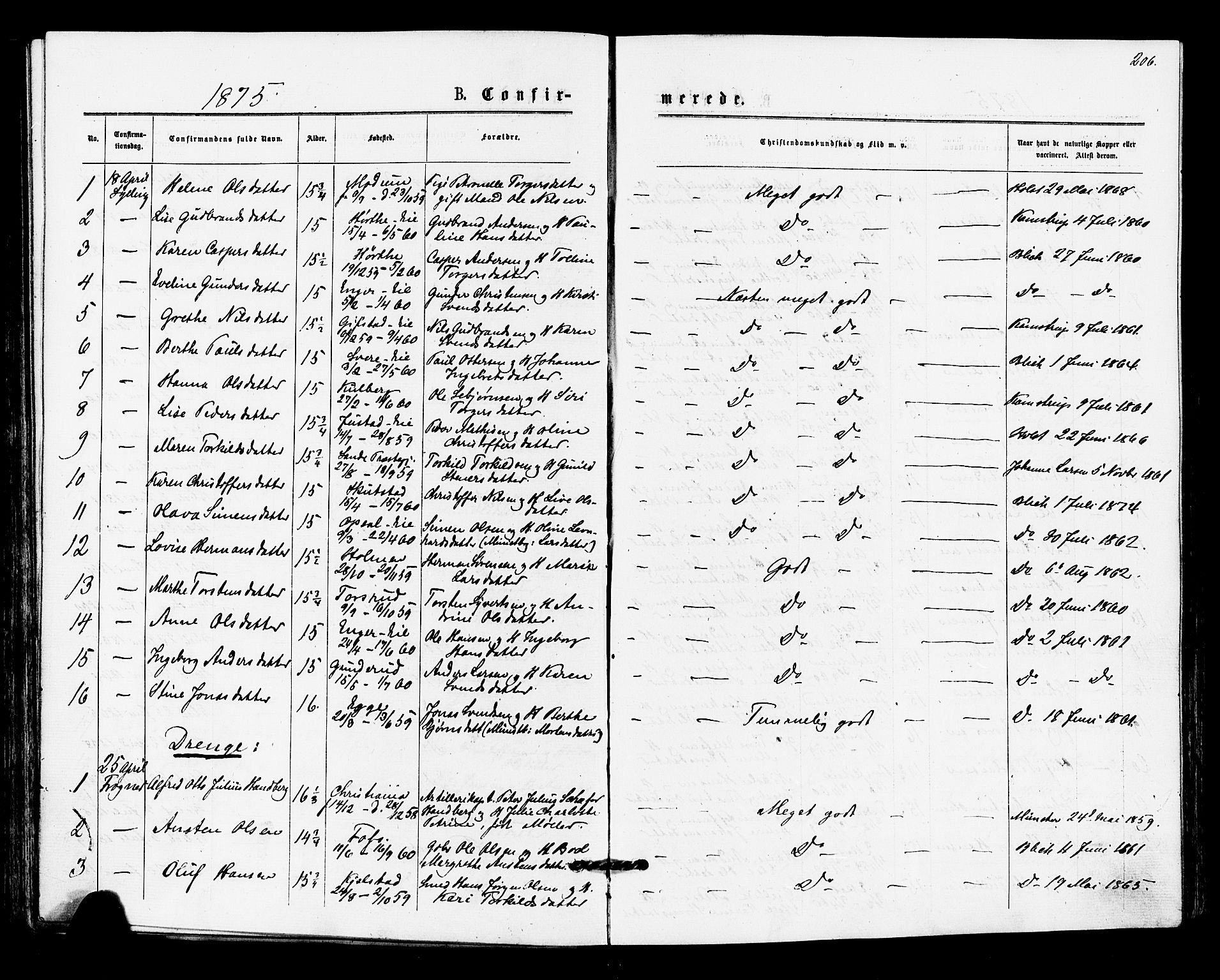Lier kirkebøker, SAKO/A-230/F/Fa/L0014: Parish register (official) no. I 14, 1875-1882, p. 206