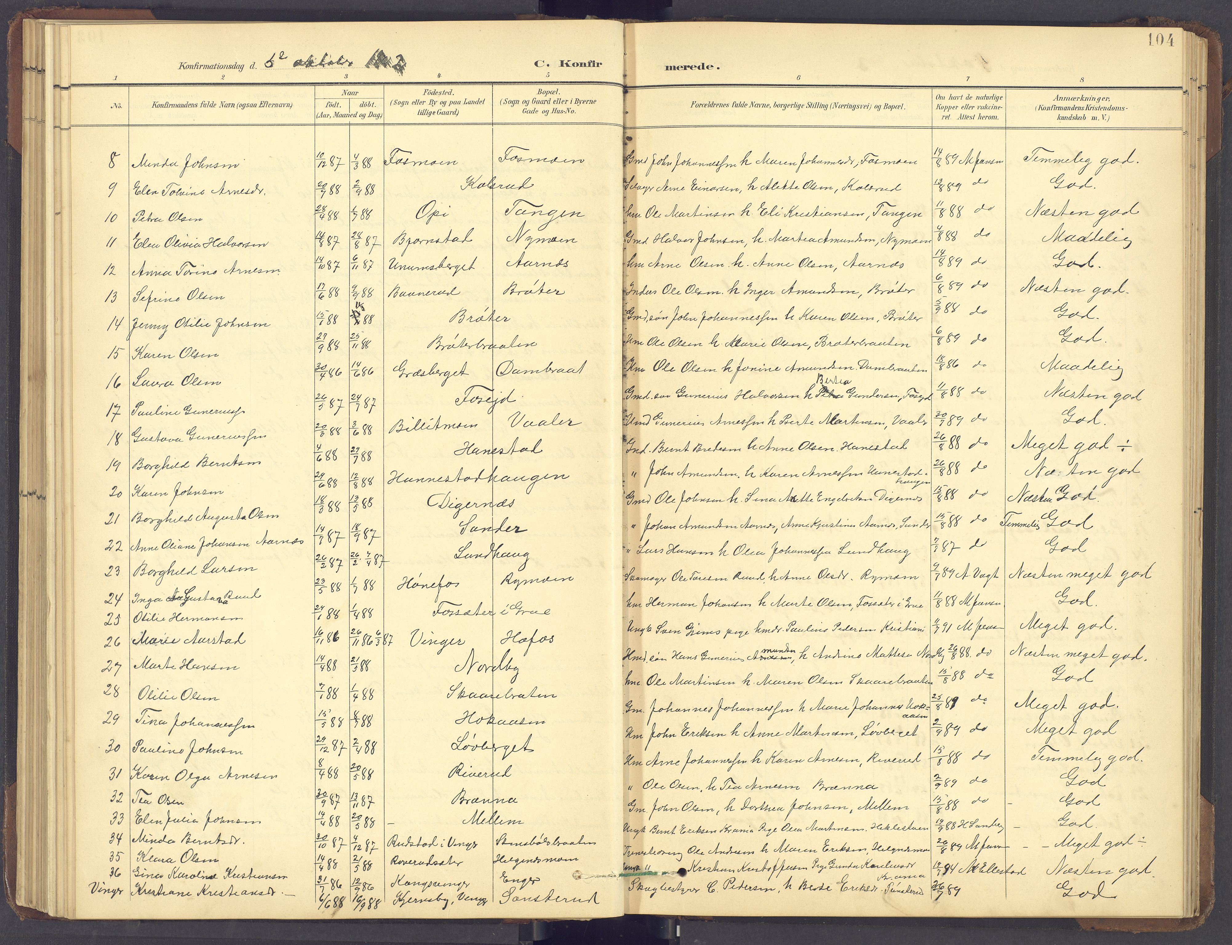 Brandval prestekontor, SAH/PREST-034/H/Ha/Hab/L0002: Parish register (copy) no. 2, 1895-1904, p. 104