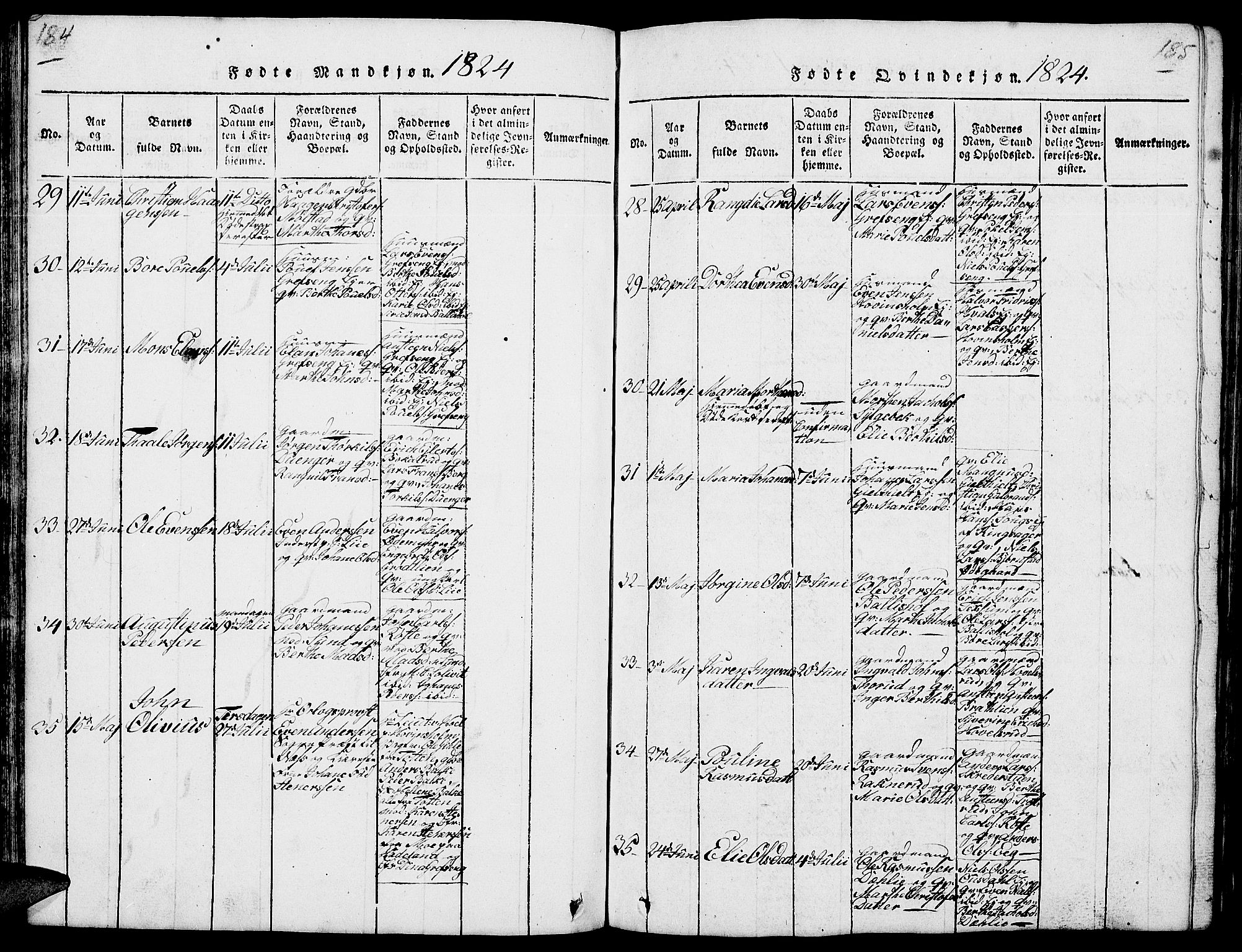 Nes prestekontor, Hedmark, AV/SAH-PREST-020/L/La/L0003: Parish register (copy) no. 3, 1814-1831, p. 184-185