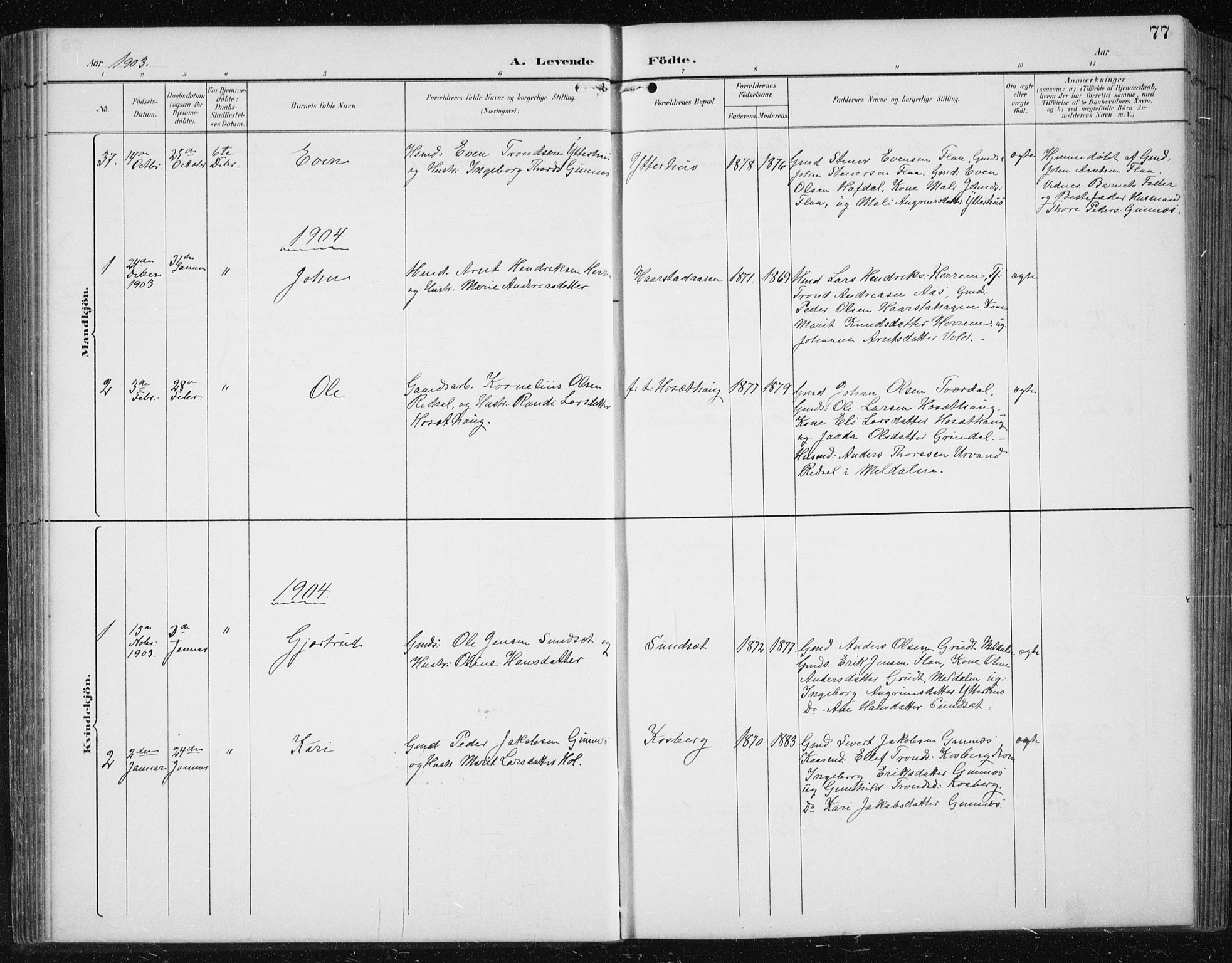 Ministerialprotokoller, klokkerbøker og fødselsregistre - Sør-Trøndelag, SAT/A-1456/674/L0876: Parish register (copy) no. 674C03, 1892-1912, p. 77