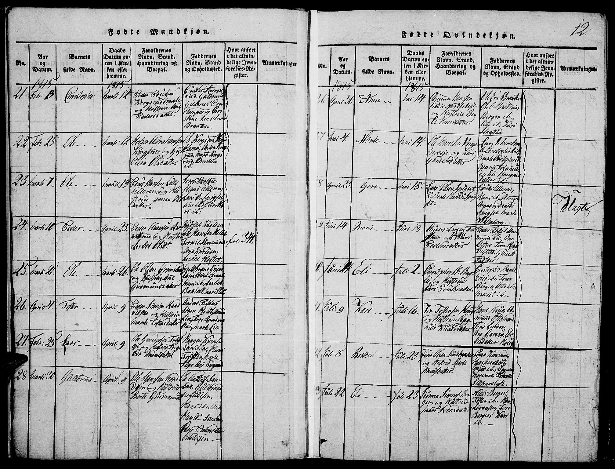 Strøm-Odalen prestekontor, AV/SAH-PREST-028/H/Ha/Hab/L0001: Parish register (copy) no. 1, 1813-1825, p. 12