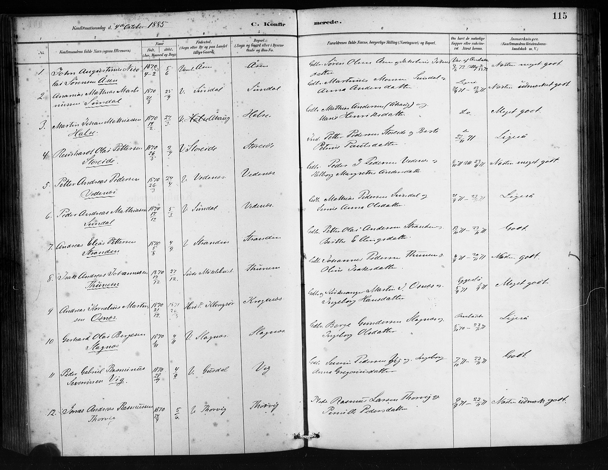 Ministerialprotokoller, klokkerbøker og fødselsregistre - Møre og Romsdal, AV/SAT-A-1454/501/L0008: Parish register (official) no. 501A08, 1885-1901, p. 115