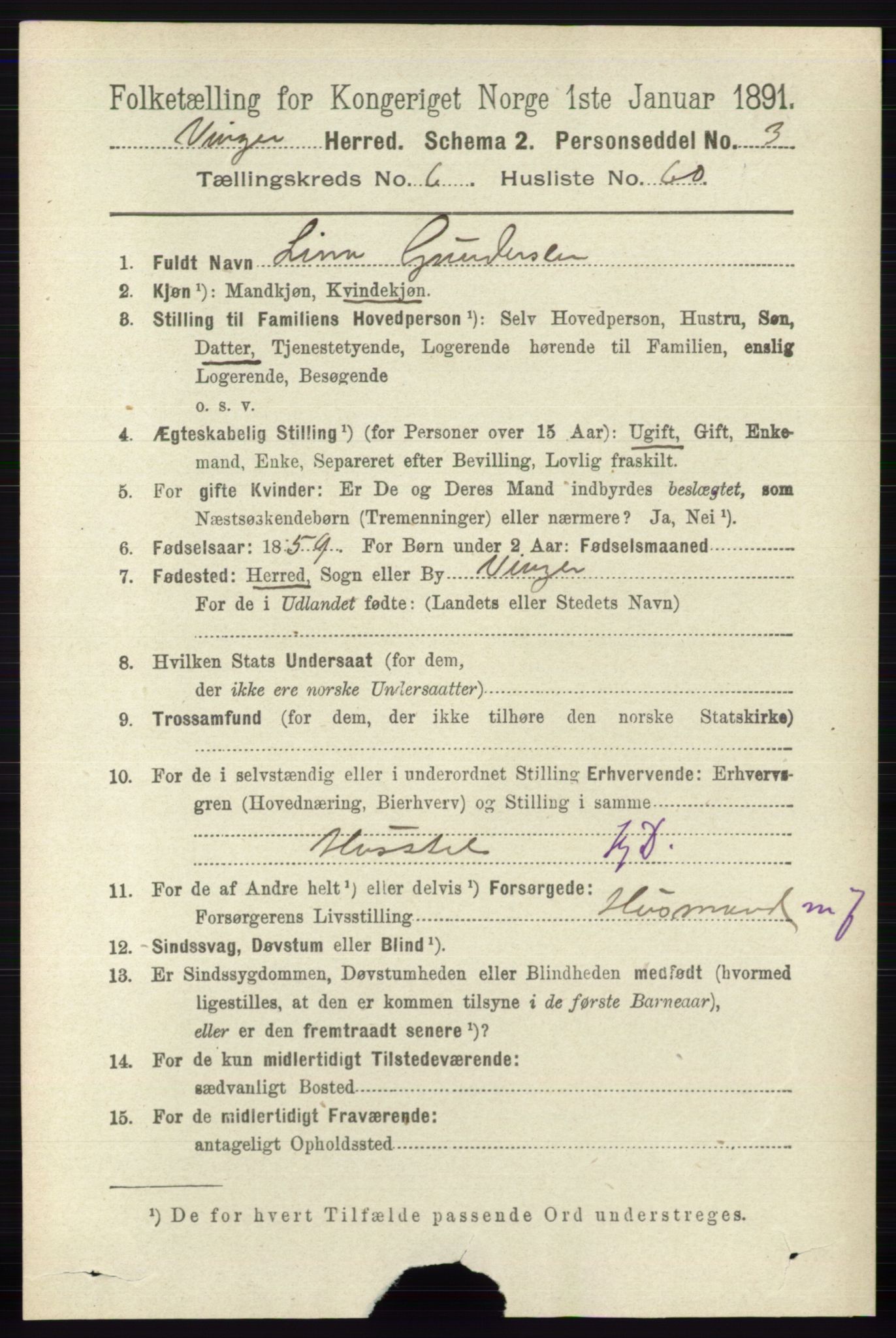 RA, 1891 census for 0421 Vinger, 1891, p. 2961